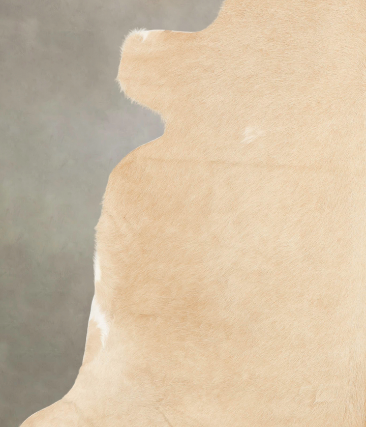 Palomino X-Large Brazilian Cowhide Rug 6'4"H x 7'1"W #B2624 by Hudson Hides