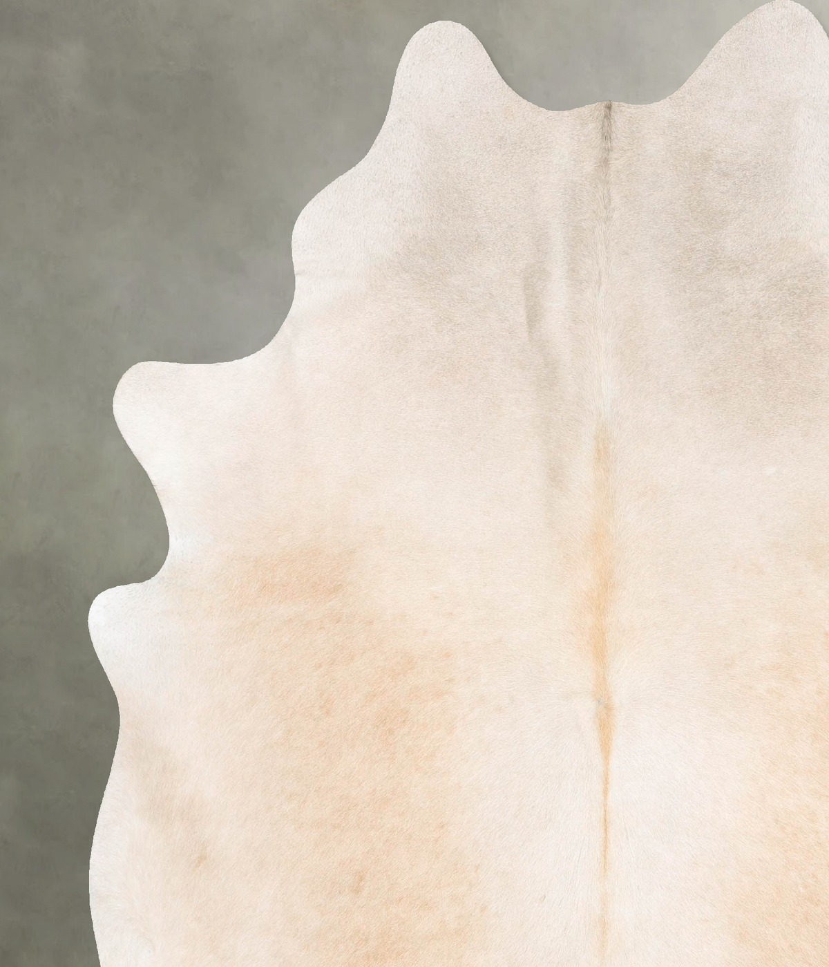 Ivory with Beige Cowhide Rug #B26243