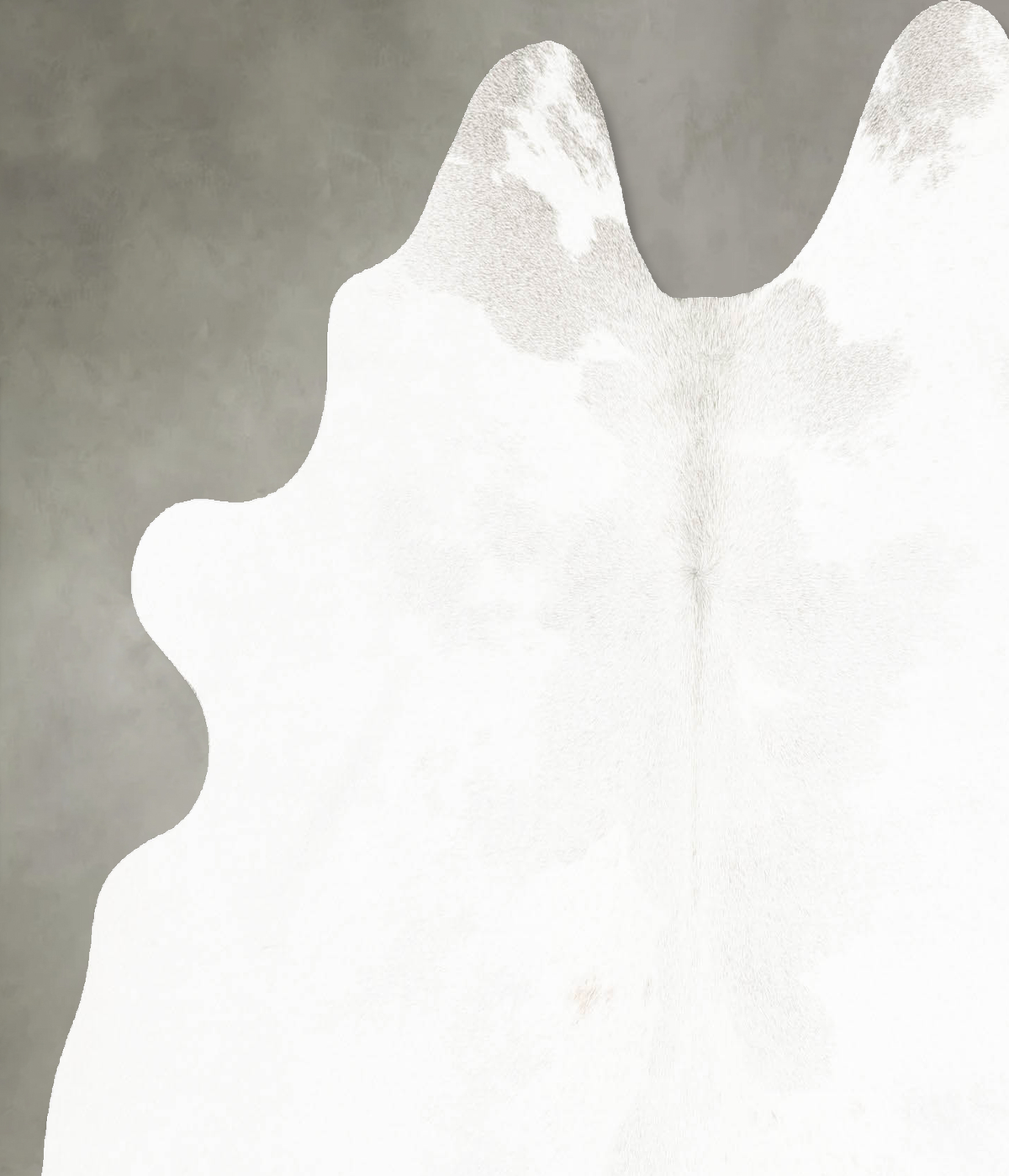 Light Grey Large Brazilian Cowhide Rug 5'7"H x 5'8"W #B26260 by Hudson Hides