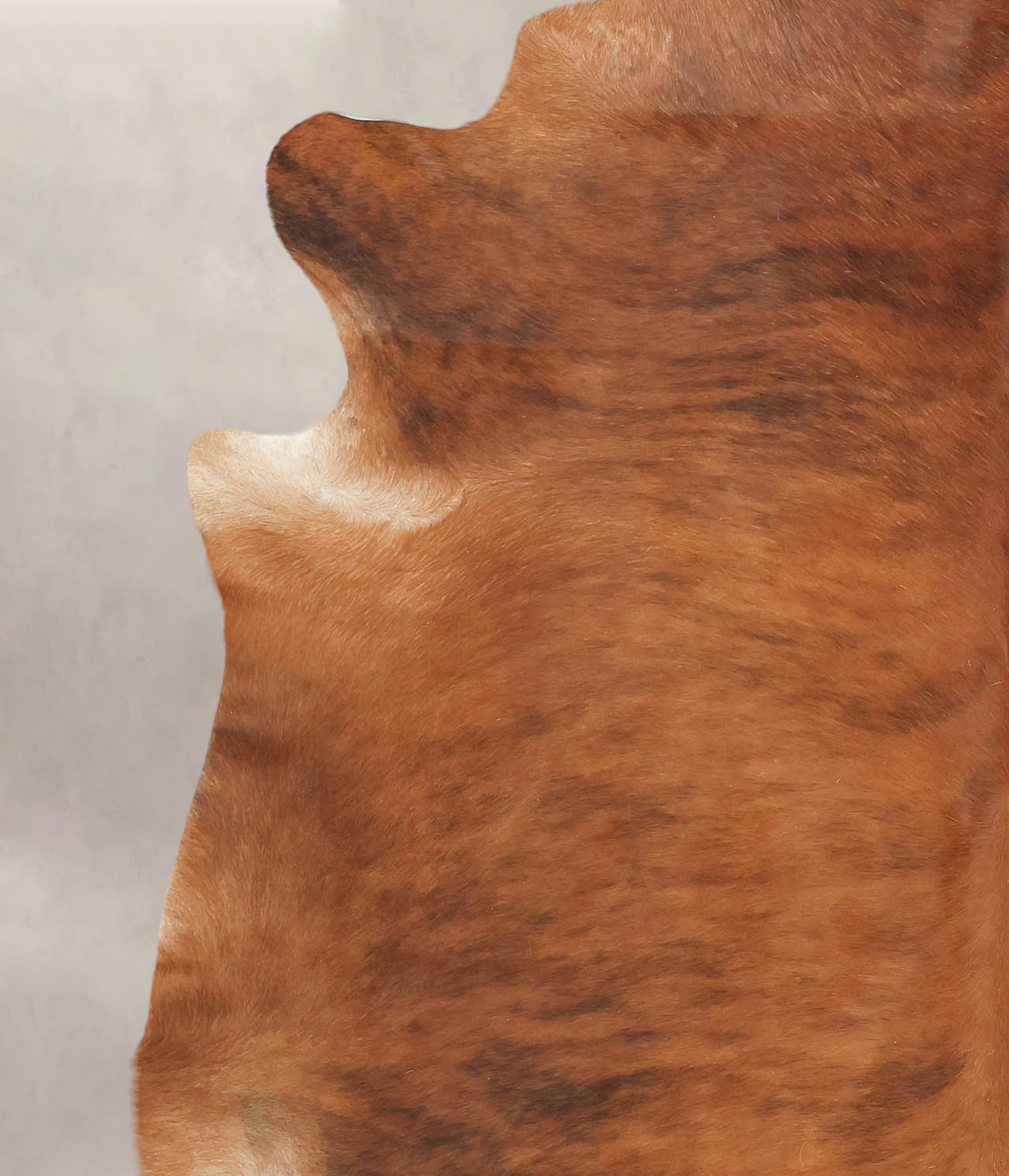 Medium Brindle Cowhide Rug #B2630