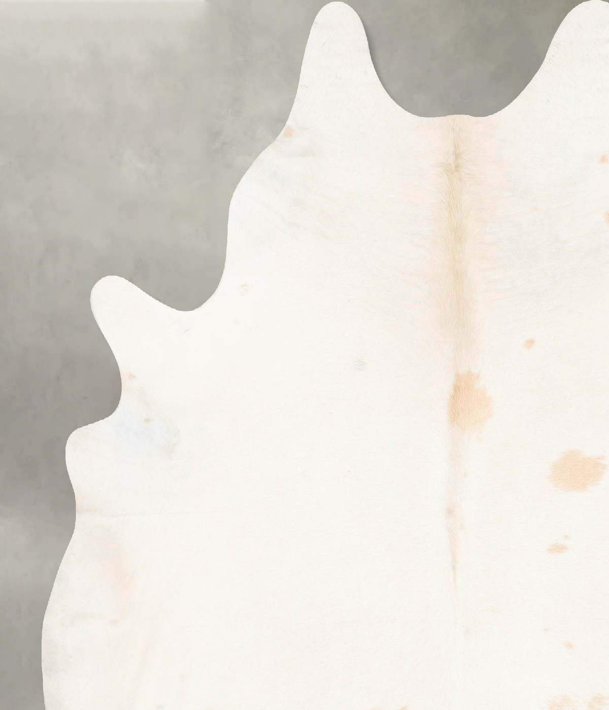 Ivory with Beige Cowhide Rug #B26319