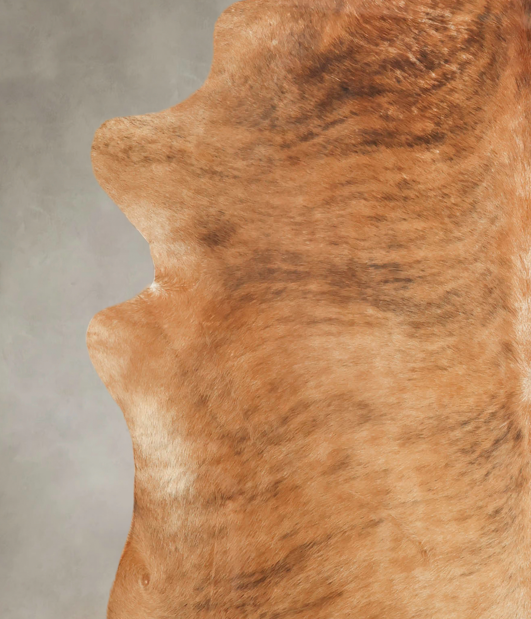 Medium Brindle Cowhide Rug #B2632