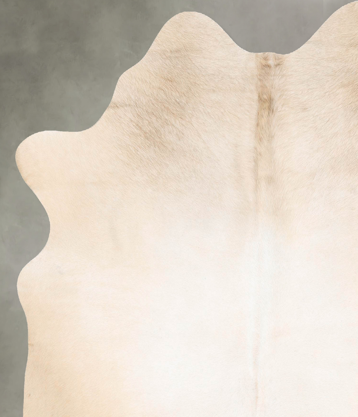 Ivory with Beige Cowhide Rug #B26329