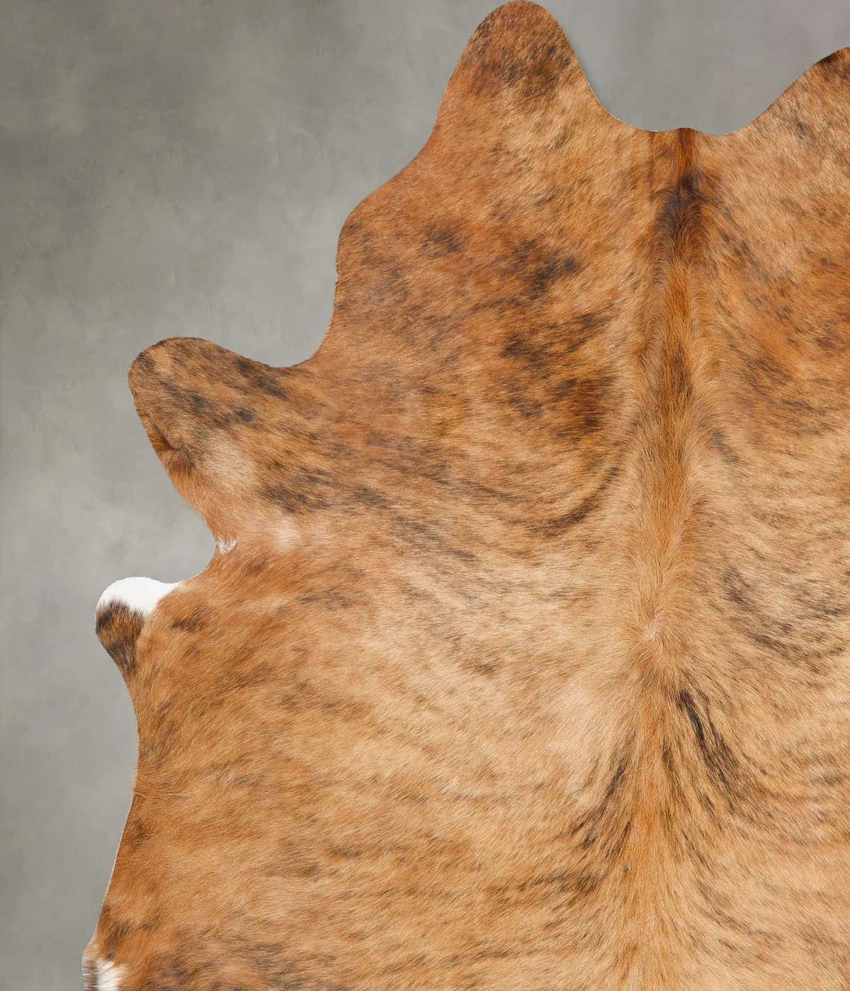 Medium Brindle X-Large Brazilian Cowhide Rug 7'8"H x 6'2"W #B26406 by Hudson Hides