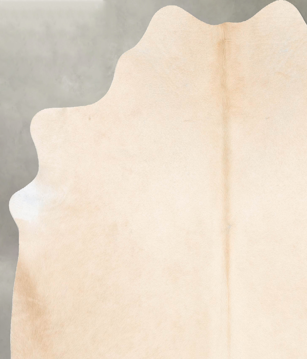 Palomino Large Brazilian Cowhide Rug 6'5"H x 5'9"W #B26431 by Hudson Hides