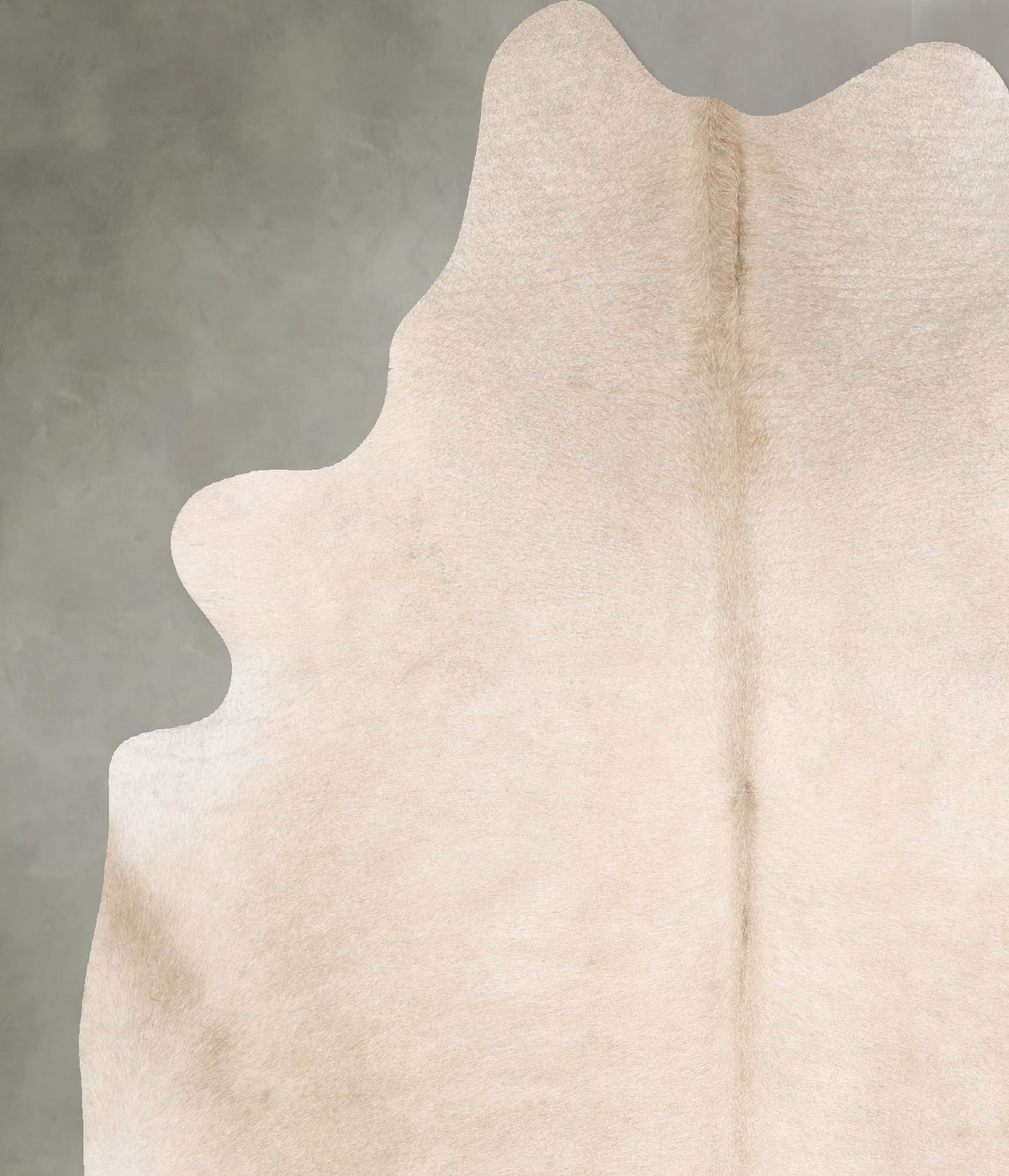 Champagne X-Large Brazilian Cowhide Rug 7'1"H x 6'0"W #B26548 by Hudson Hides
