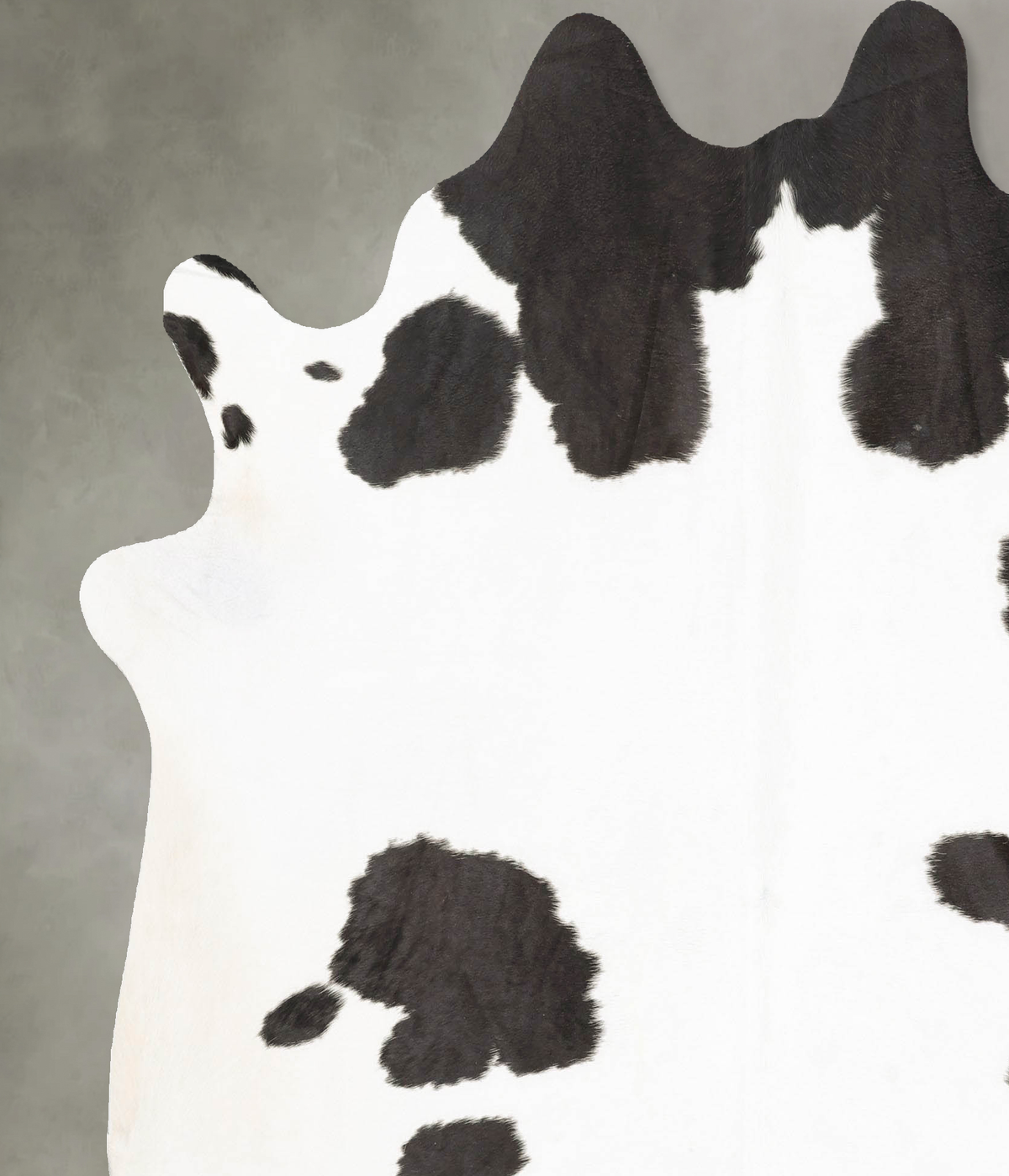 Black and White X-Large Brazilian Cowhide Rug 7'2"H x 6'6"W #B26550 by Hudson Hides