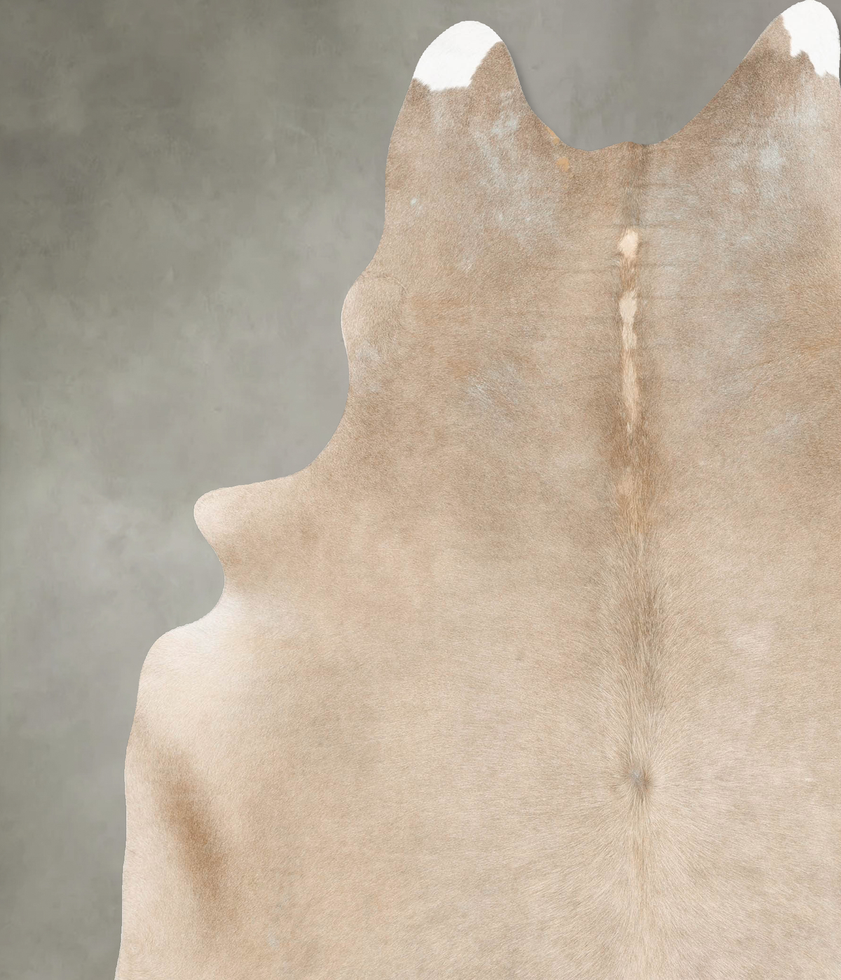 Champagne XX-Large Brazilian Cowhide Rug 8'6"H x 7'0"W #B26553 by Hudson Hides