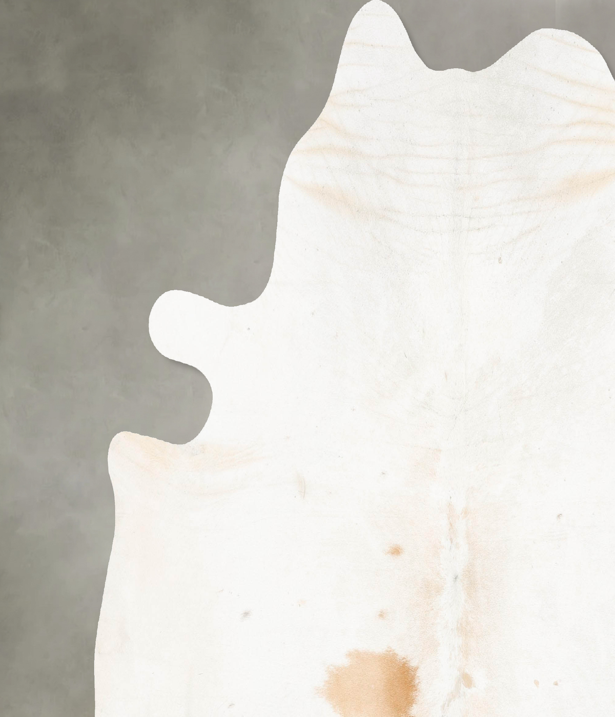 Ivory with Beige XX-Large Brazilian Cowhide Rug 7'9"H x 7'10"W #B26625 by Hudson Hides