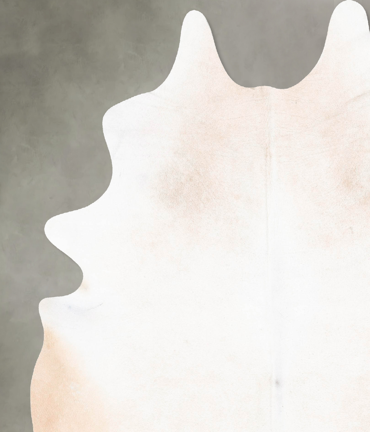 Ivory with Beige XX-Large Brazilian Cowhide Rug 8'3"H x 6'4"W #B26648 by Hudson Hides
