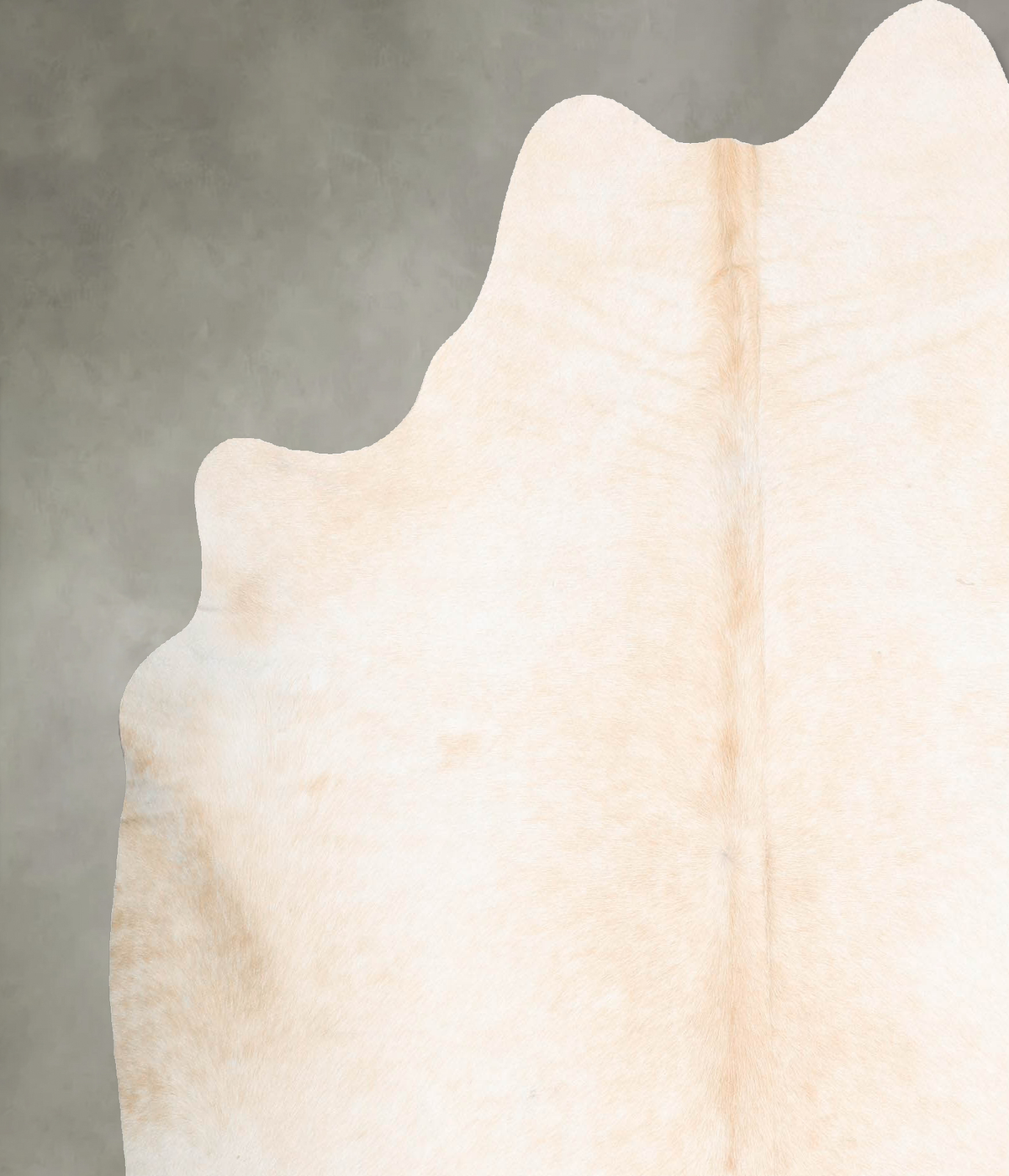 Ivory with Beige Cowhide Rug #B26663