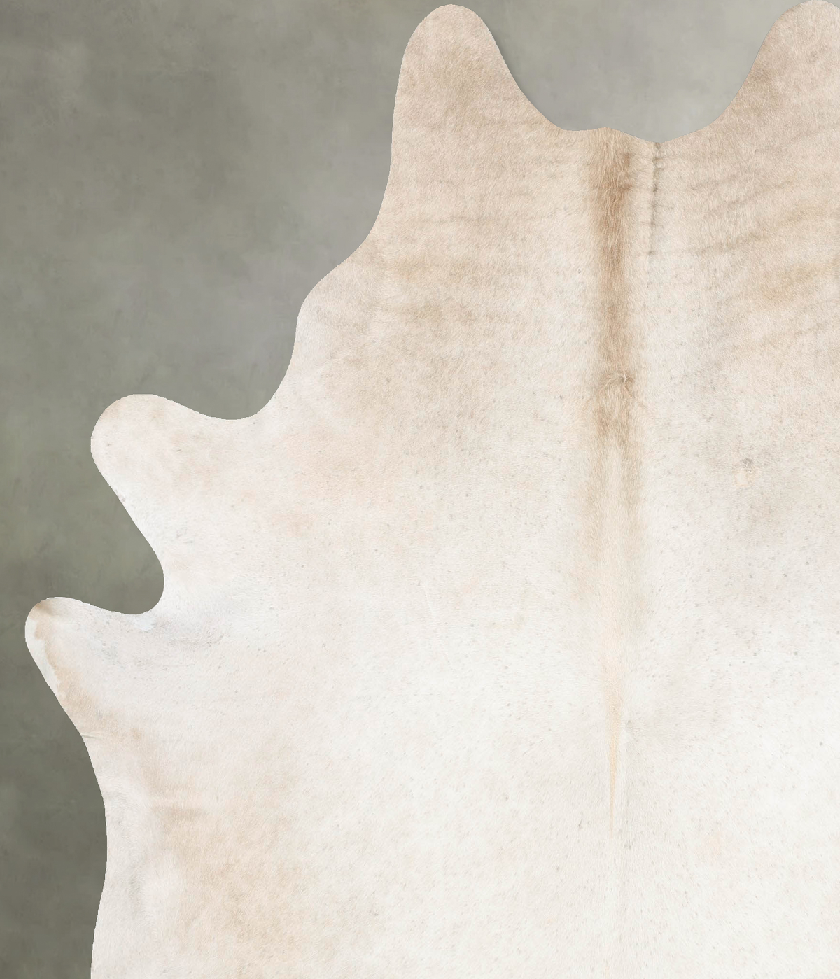 Champagne XX-Large Brazilian Cowhide Rug 8'1"H x 6'10"W #B26670 by Hudson Hides