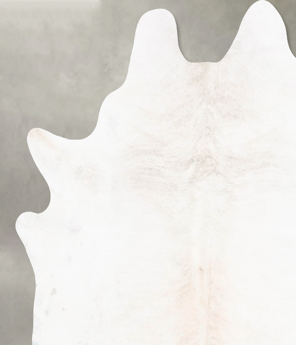 Ivory with Beige XX-Large Brazilian Cowhide Rug 8'2"H x 7'6"W #B26713 by Hudson Hides