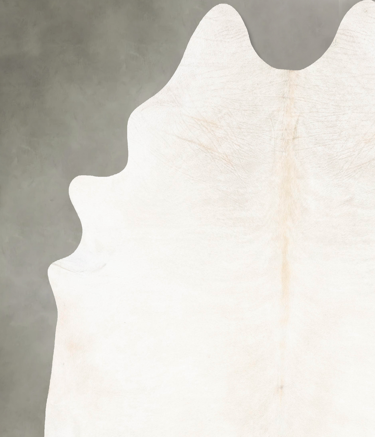 Ivory with Beige Cowhide Rug #B26729