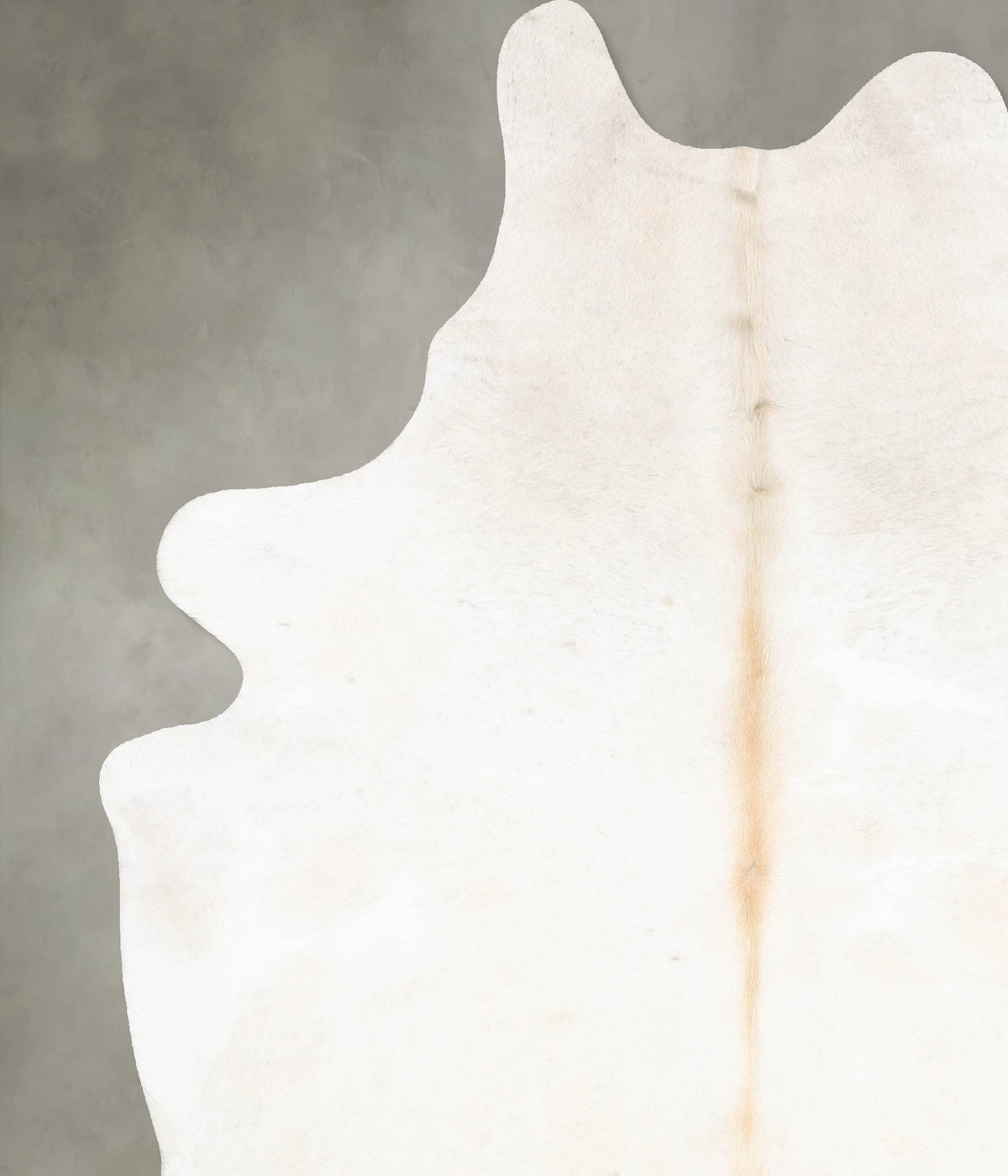 Ivory with Beige Cowhide Rug #B26737