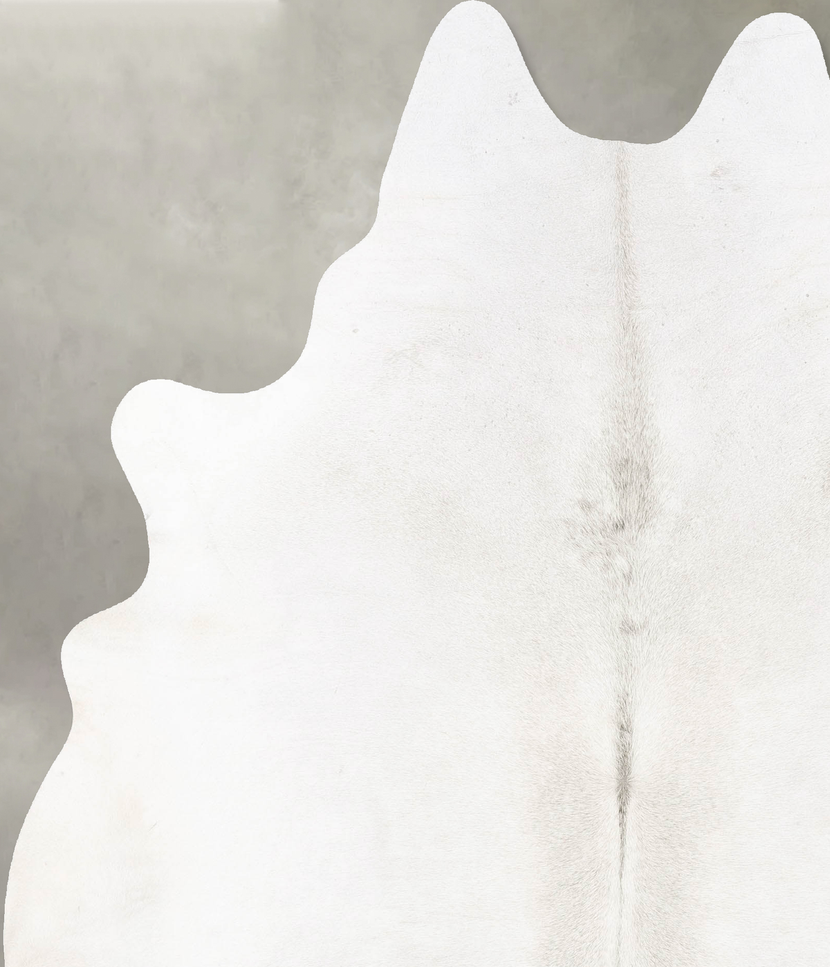 Light Grey XX-Large Brazilian Cowhide Rug 8'3"H x 6'3"W #B26755 by Hudson Hides