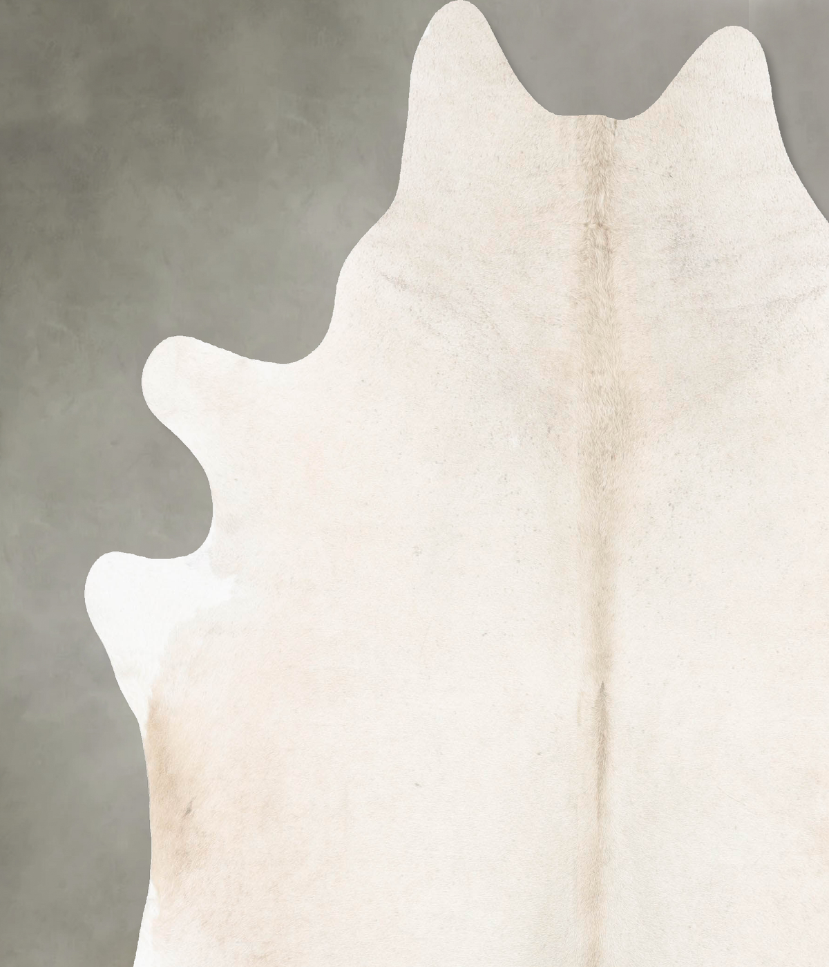 Champagne XX-Large Brazilian Cowhide Rug 8'1"H x 7'0"W #B26772 by Hudson Hides
