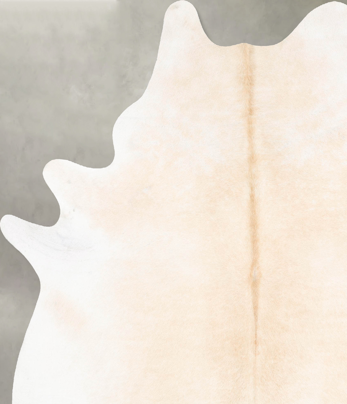Ivory with Beige Cowhide Rug #B26775
