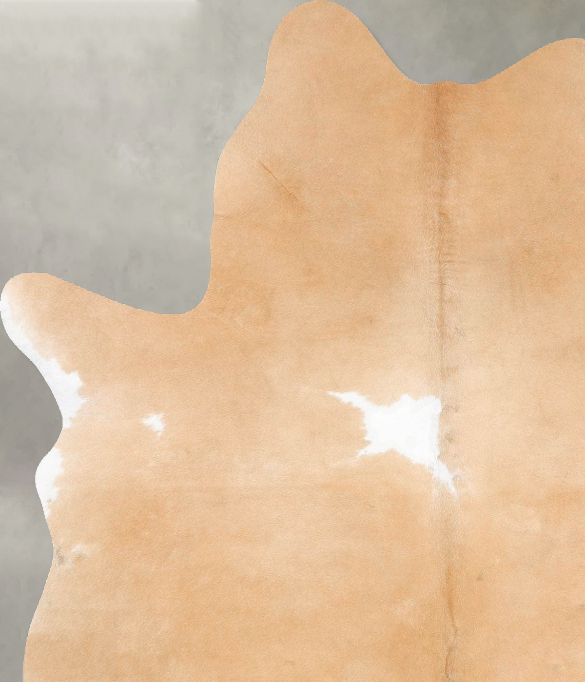 Beige and White Medium Brazilian Cowhide Rug 6'2"H x 4'9"W #B26851 by Hudson Hides