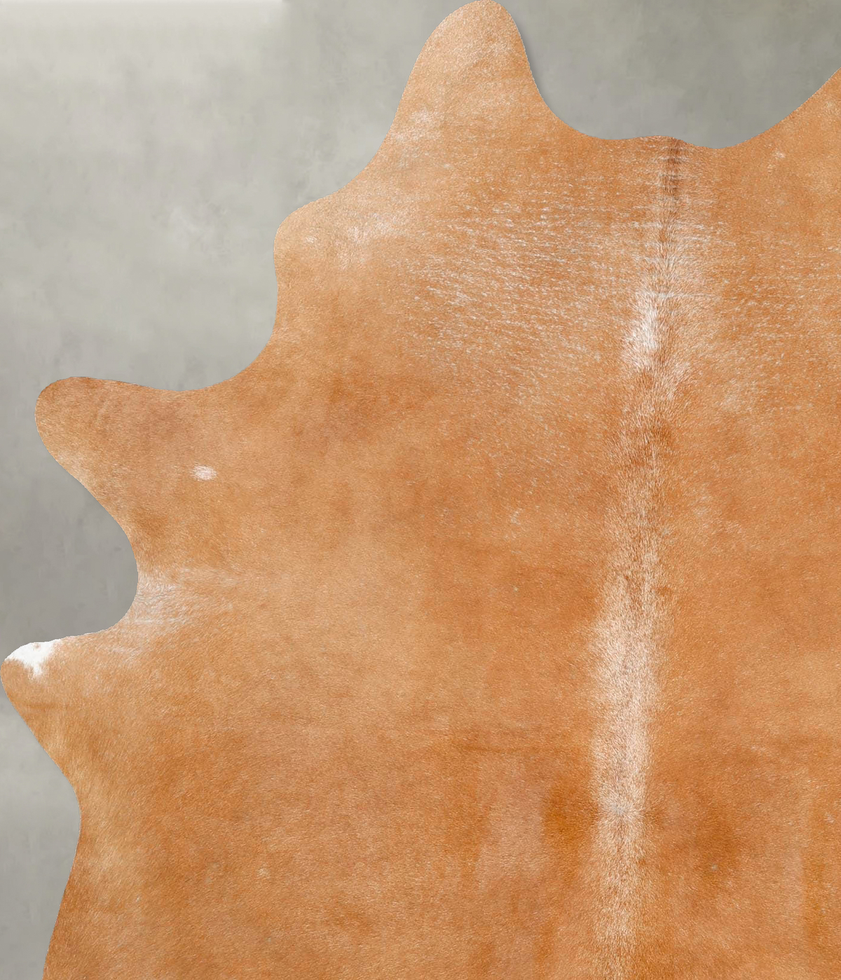 Solid Brown Large Brazilian Cowhide Rug 7'0"H x 5'6"W #B26913 by Hudson Hides