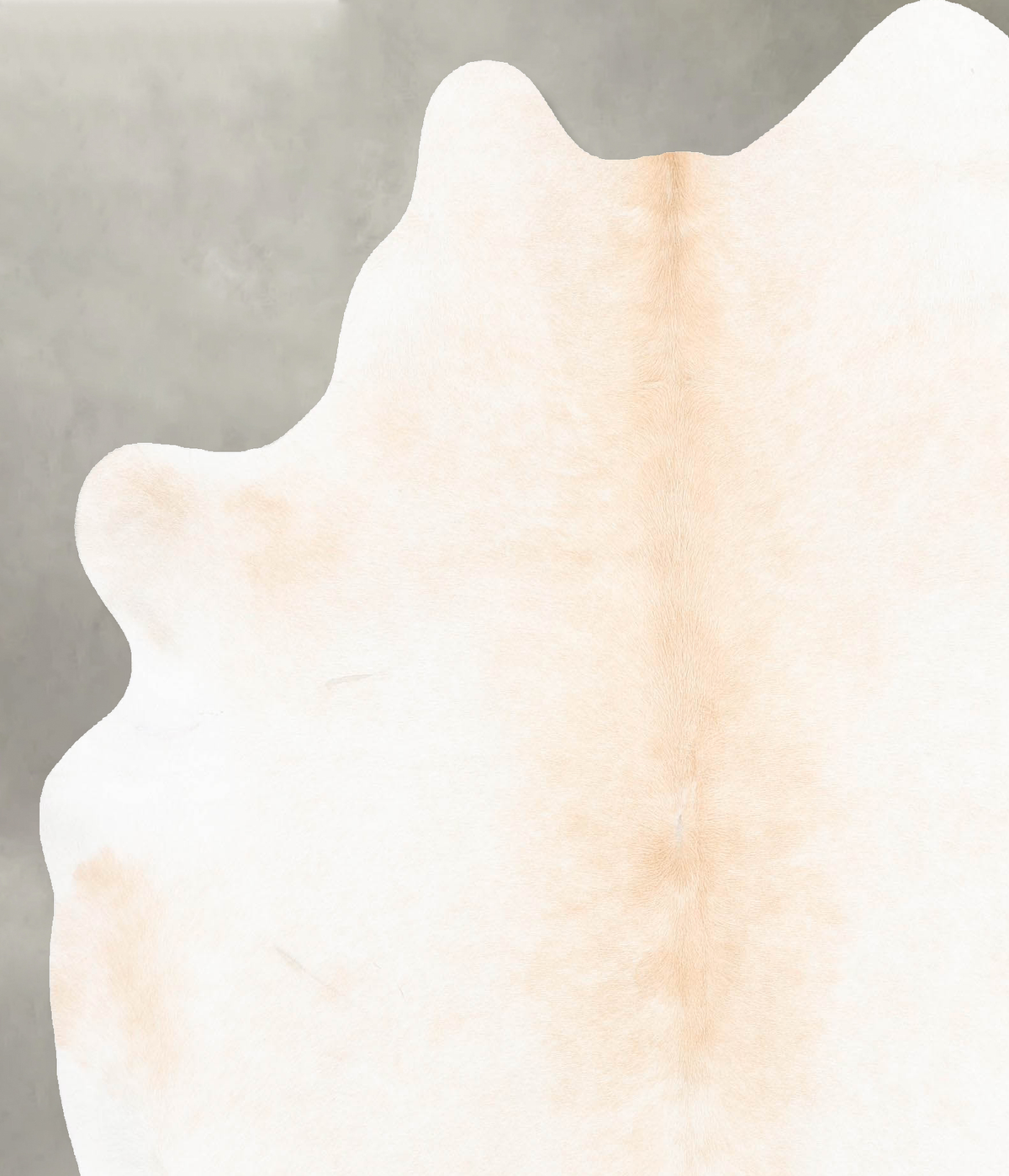 Ivory with Beige Cowhide Rug #B26935