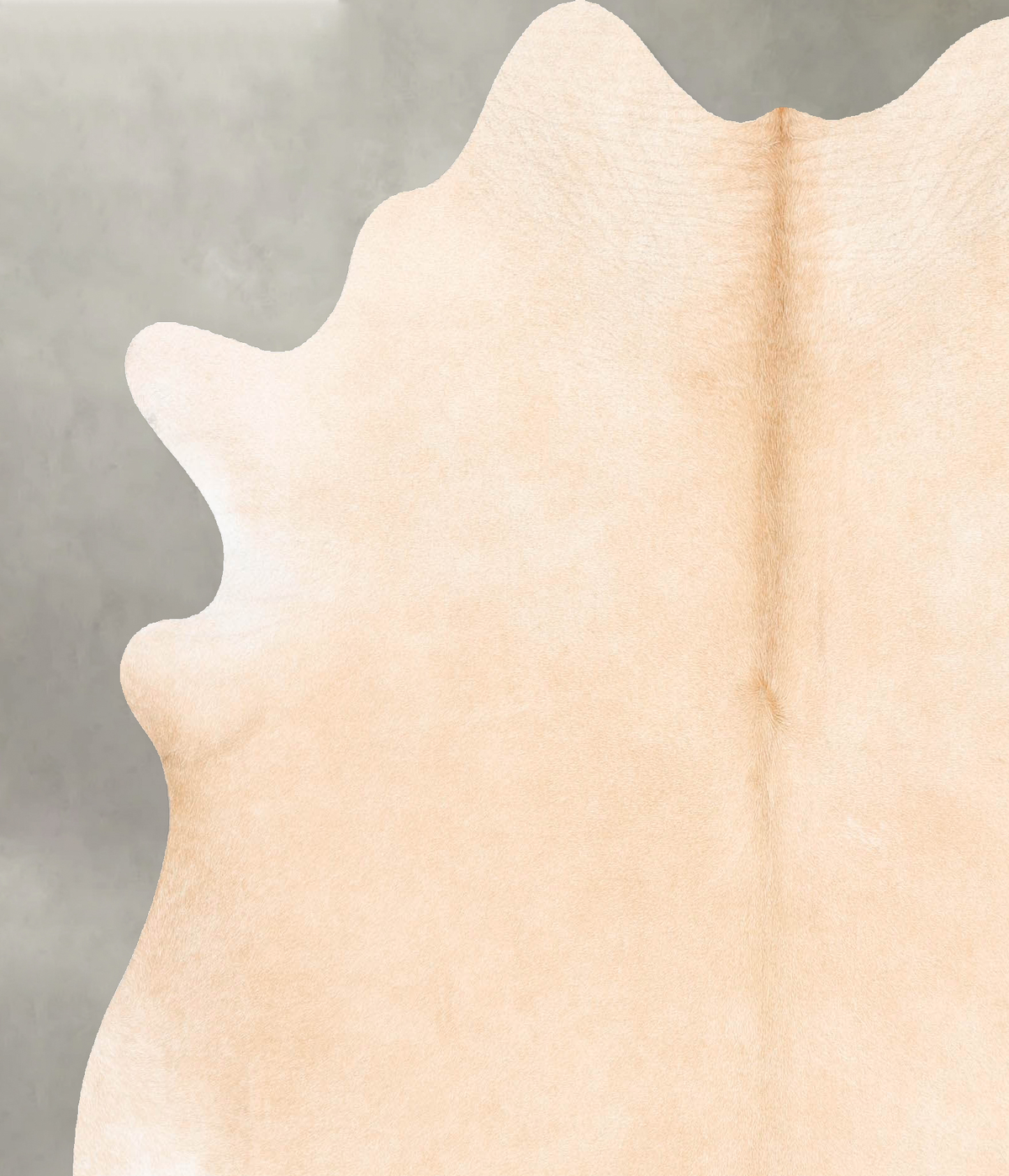 Palomino X-Large Brazilian Cowhide Rug 6'6"H x 6'4"W #B26946 by Hudson Hides