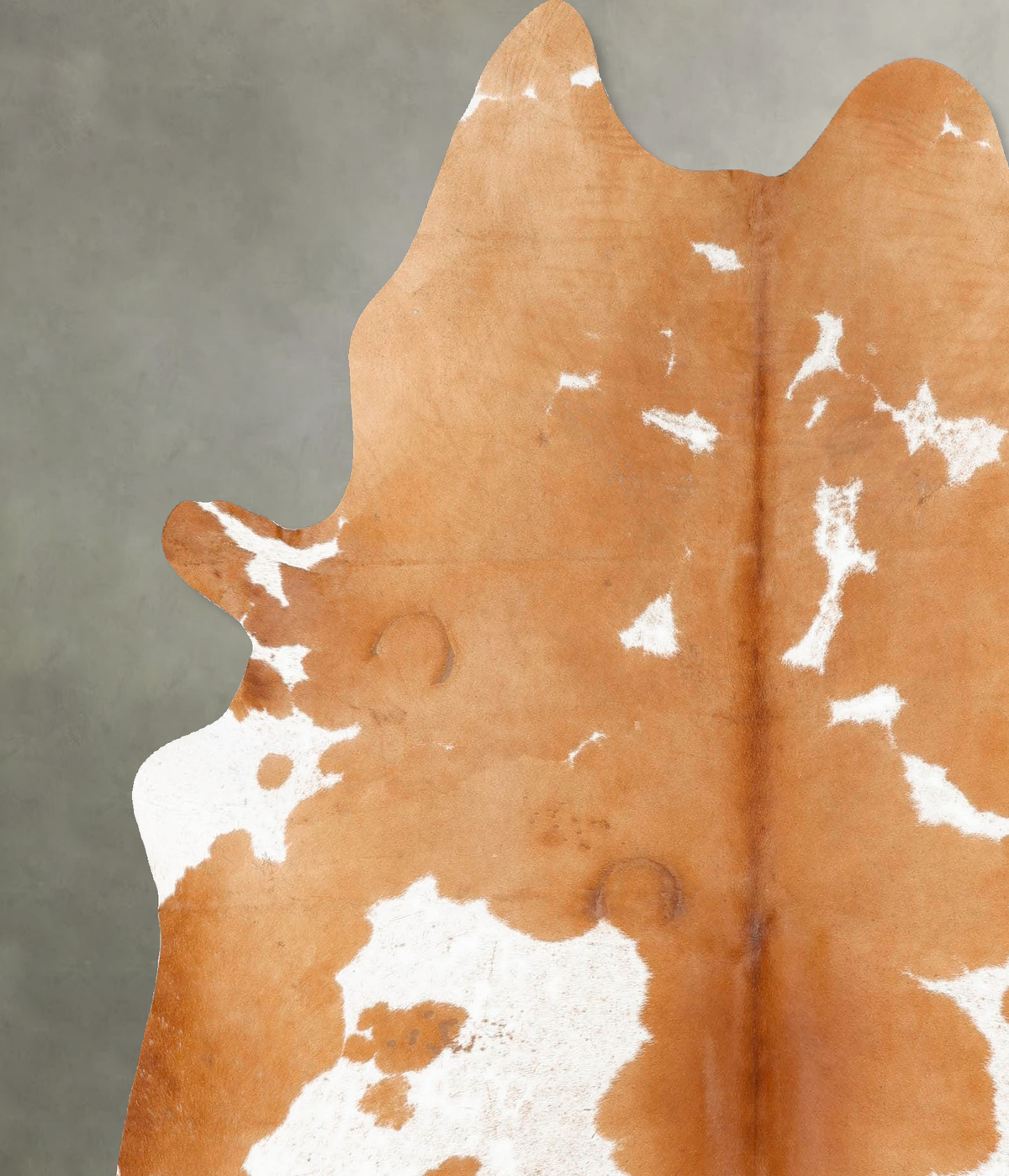 Brown and White X-Large Brazilian Cowhide Rug 7'3"H x 6'2"W #B26954 by Hudson Hides