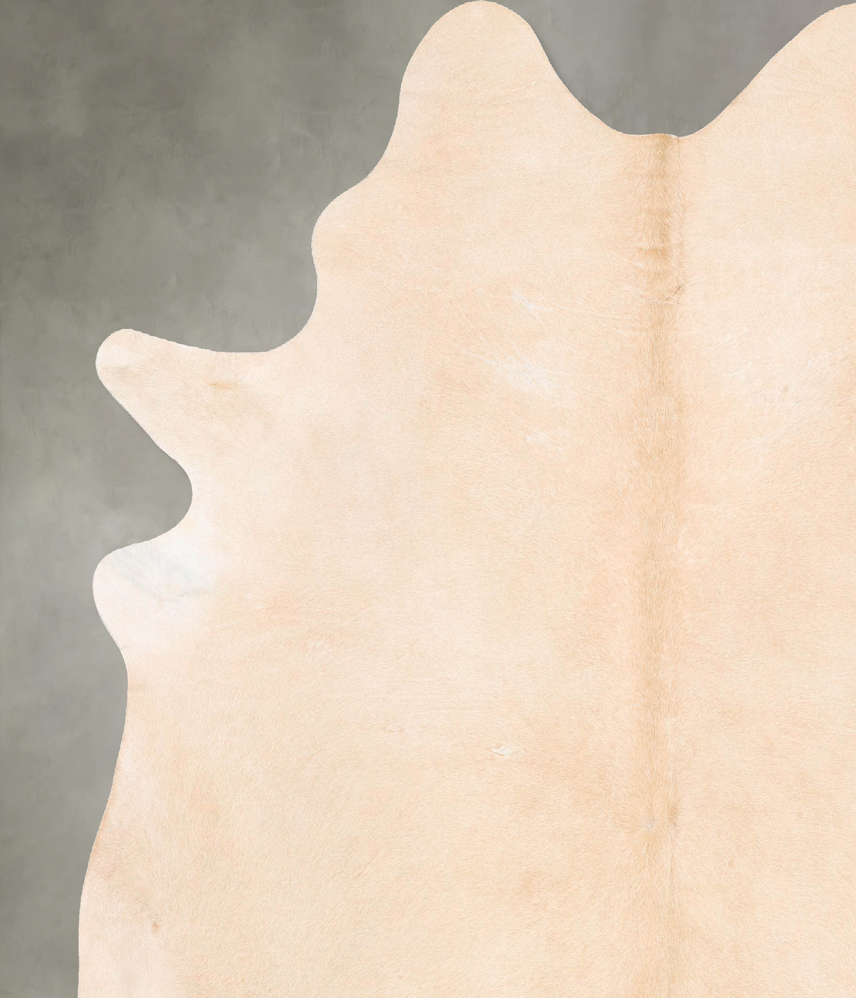 Palomino XX-Large Brazilian Cowhide Rug 8'11"H x 7'1"W #B26960 by Hudson Hides