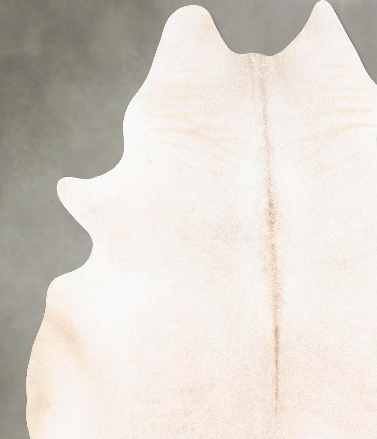 Ivory with Beige Cowhide Rug #B26963