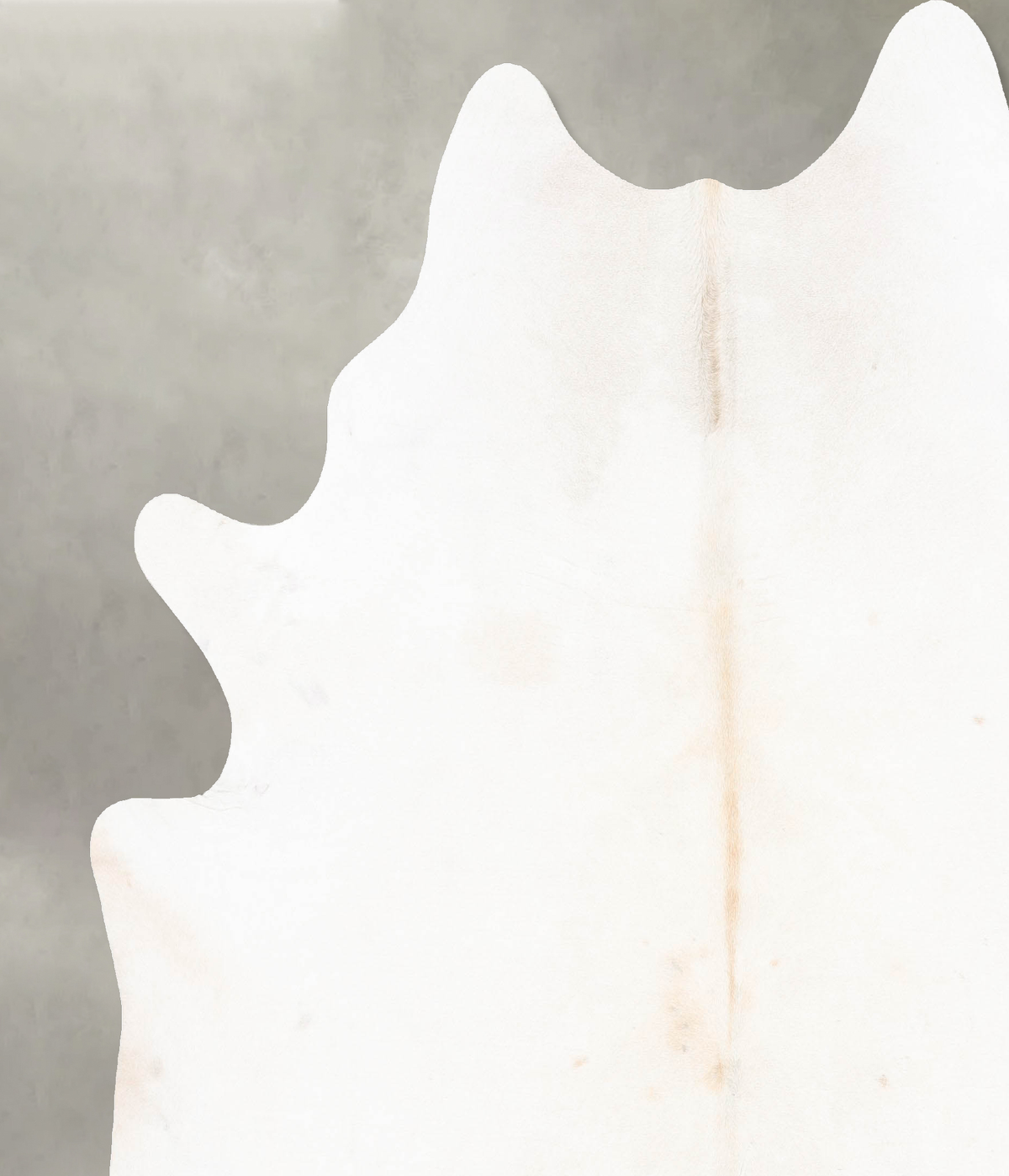 Ivory with Beige XX-Large Brazilian Cowhide Rug 8'4"H x 7'3"W #B26971 by Hudson Hides