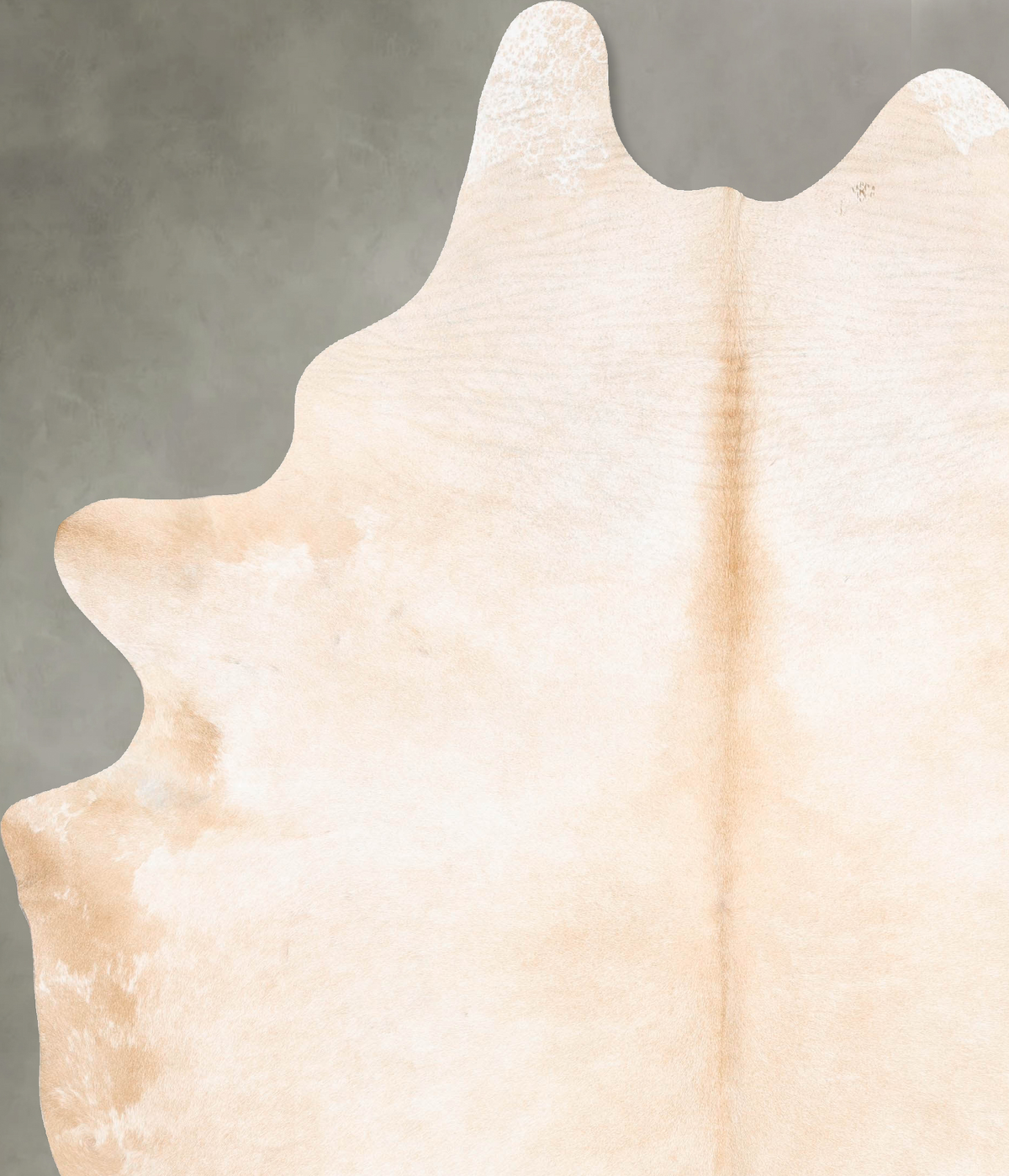 Palomino XX-Large Brazilian Cowhide Rug 9'10"H x 7'3"W #B26972 by Hudson Hides