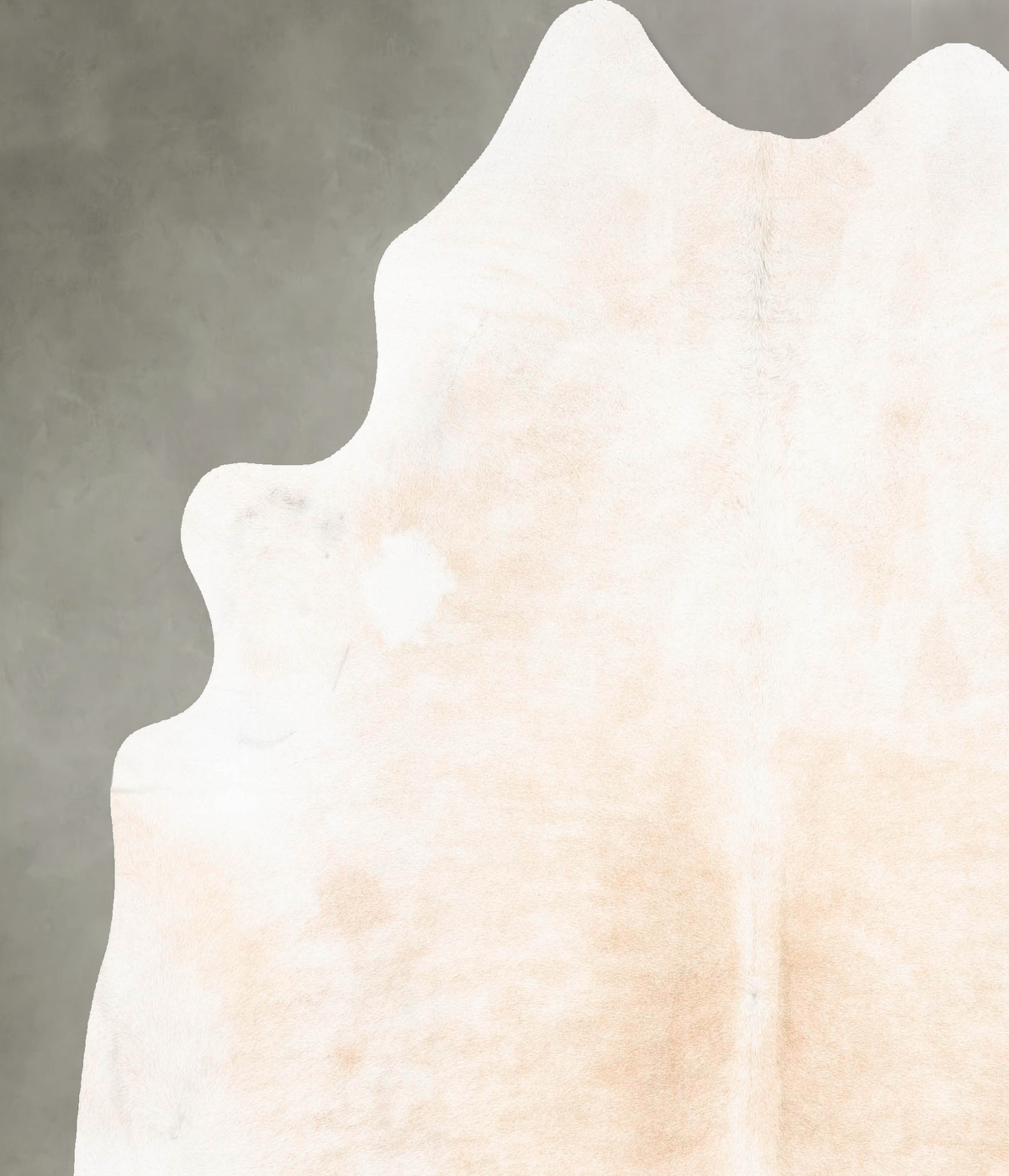 Ivory with Beige Cowhide Rug #B26978