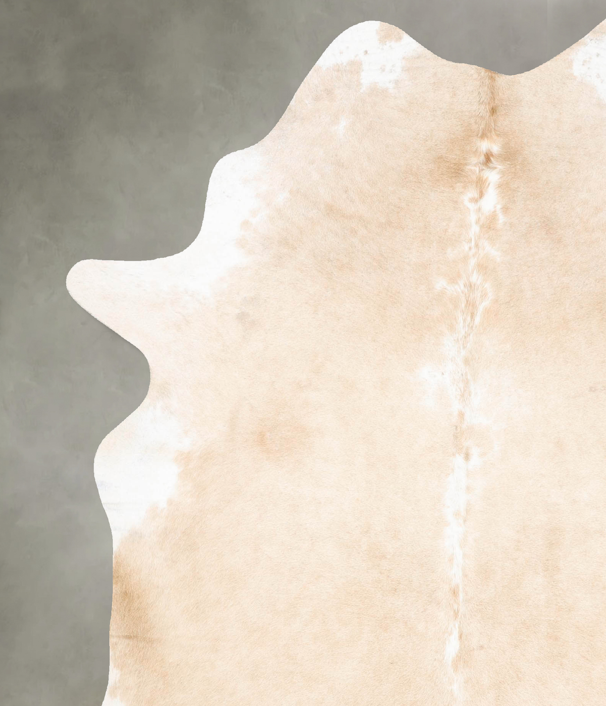 Palomino X-Large Brazilian Cowhide Rug 7'8"H x 6'2"W #B27021 by Hudson Hides