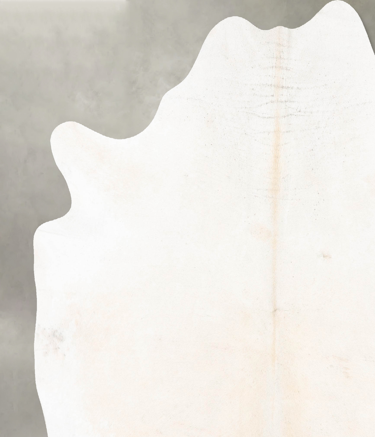 Ivory with Beige XX-Large Brazilian Cowhide Rug 7'11"H x 6'9"W #B27031 by Hudson Hides
