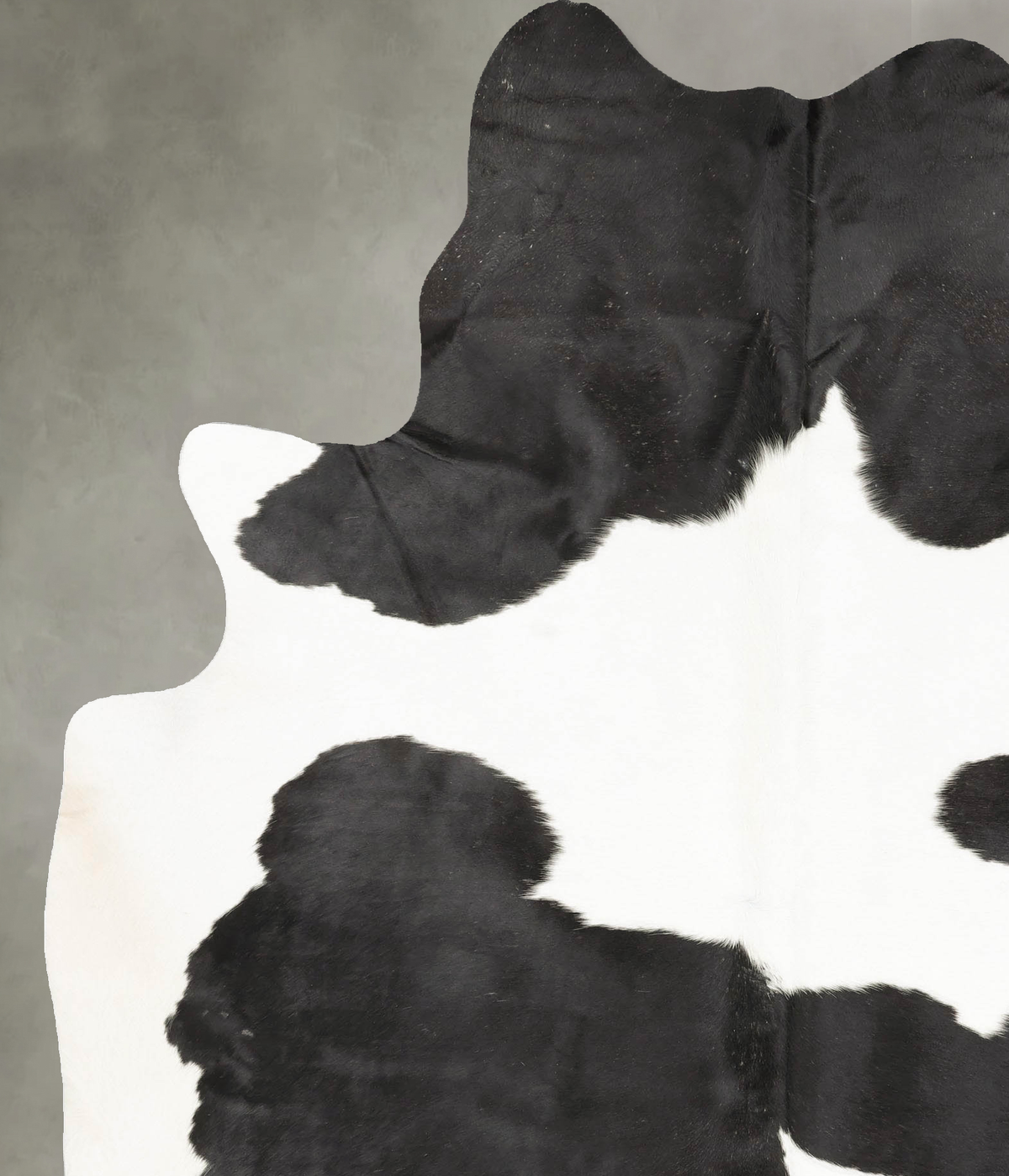 Black and White XX-Large Brazilian Cowhide Rug 8'6"H x 6'2"W #B27034 by Hudson Hides