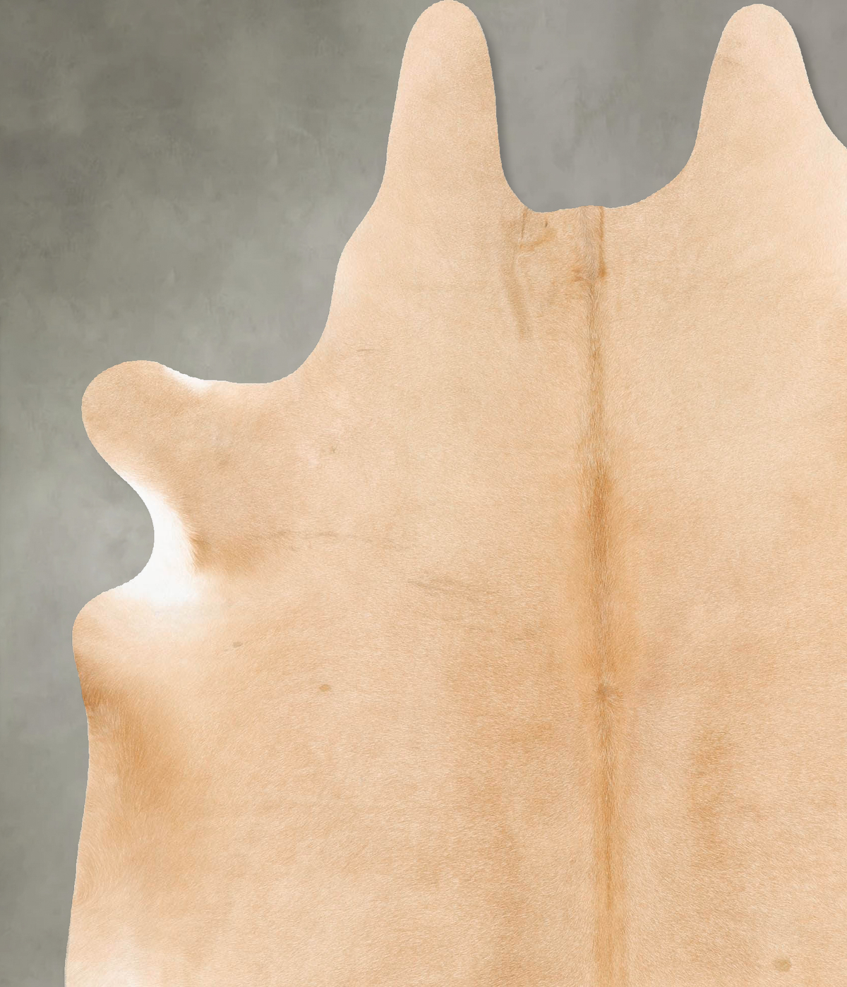 Palomino X-Large Brazilian Cowhide Rug 7'4"H x 6'7"W #B27042 by Hudson Hides