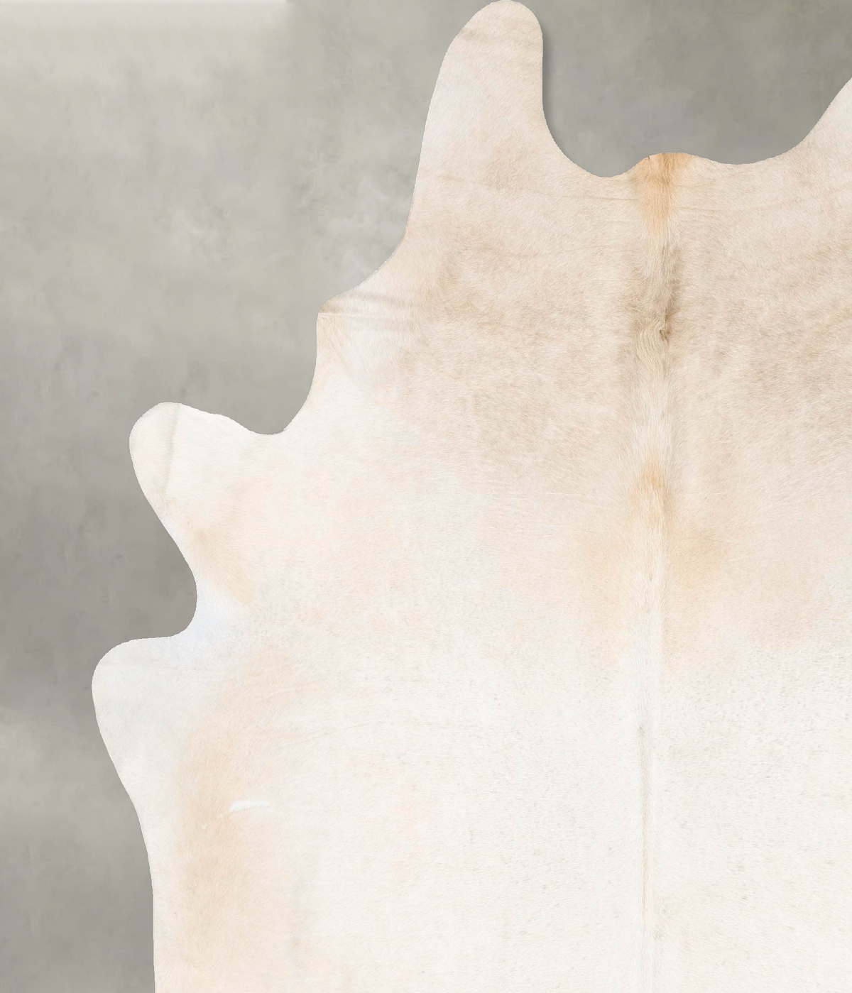 Ivory with Beige Cowhide Rug #B27053