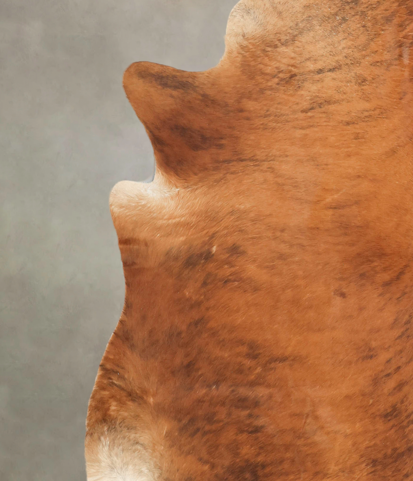 Medium Brindle Cowhide Rug #B2707