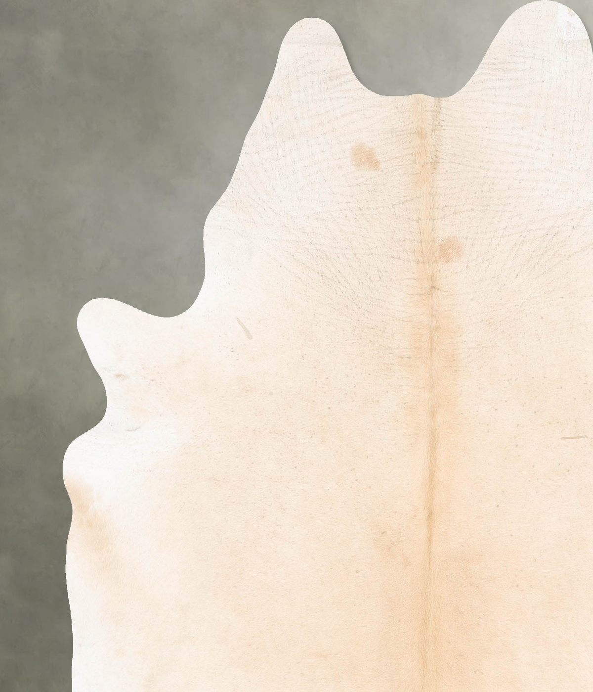 Ivory with Beige XX-Large Brazilian Cowhide Rug 8'8"H x 6'8"W #B27072 by Hudson Hides