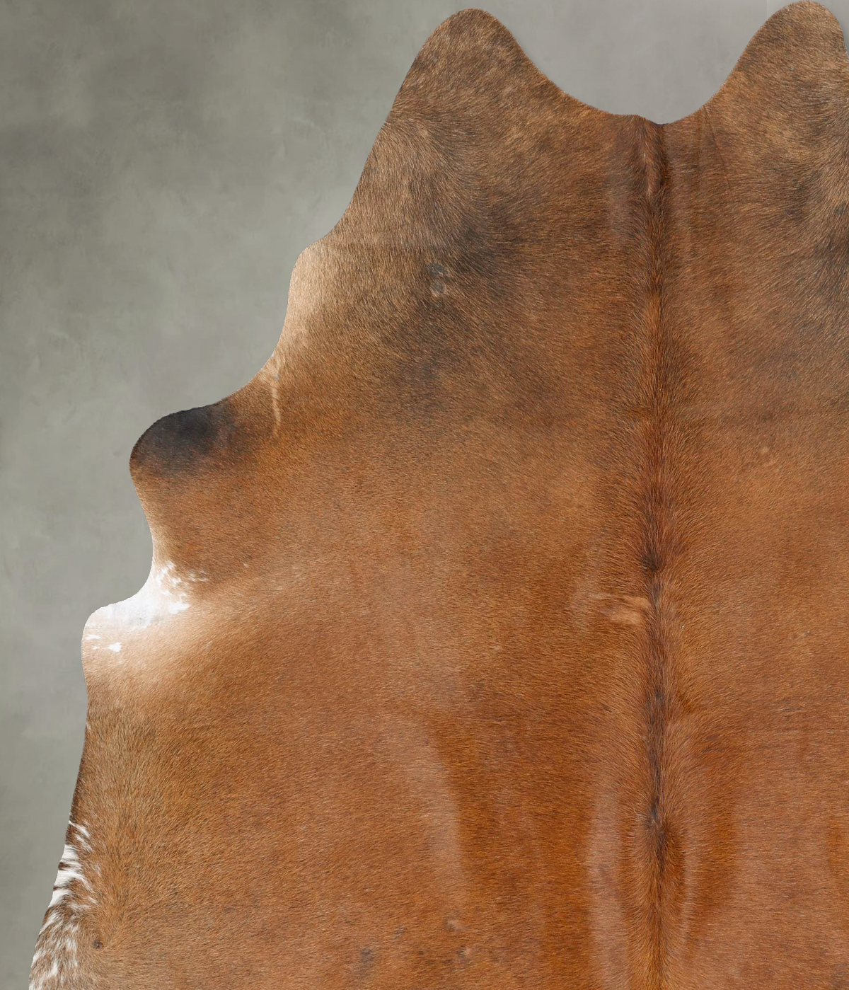 Warm Caramel X-Large Brazilian Cowhide Rug 7'7"H x 6'7"W #B27075 by Hudson Hides