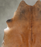 Warm Caramel X-Large Brazilian Cowhide Rug 7'7"H x 6'7"W #B27075 by Hudson Hides