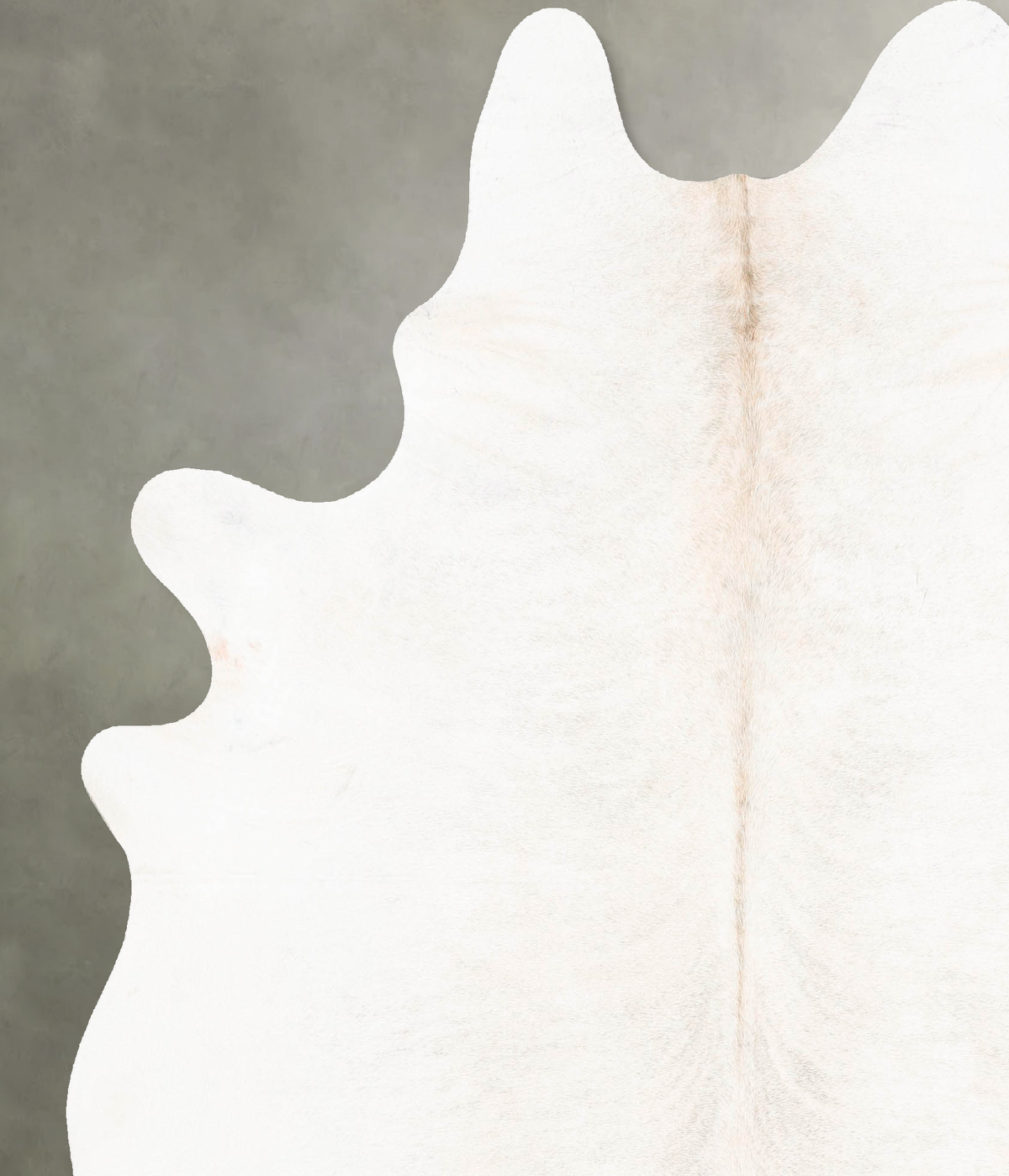 Ivory with Beige XX-Large Brazilian Cowhide Rug 7'11"H x 6'7"W #B27079 by Hudson Hides