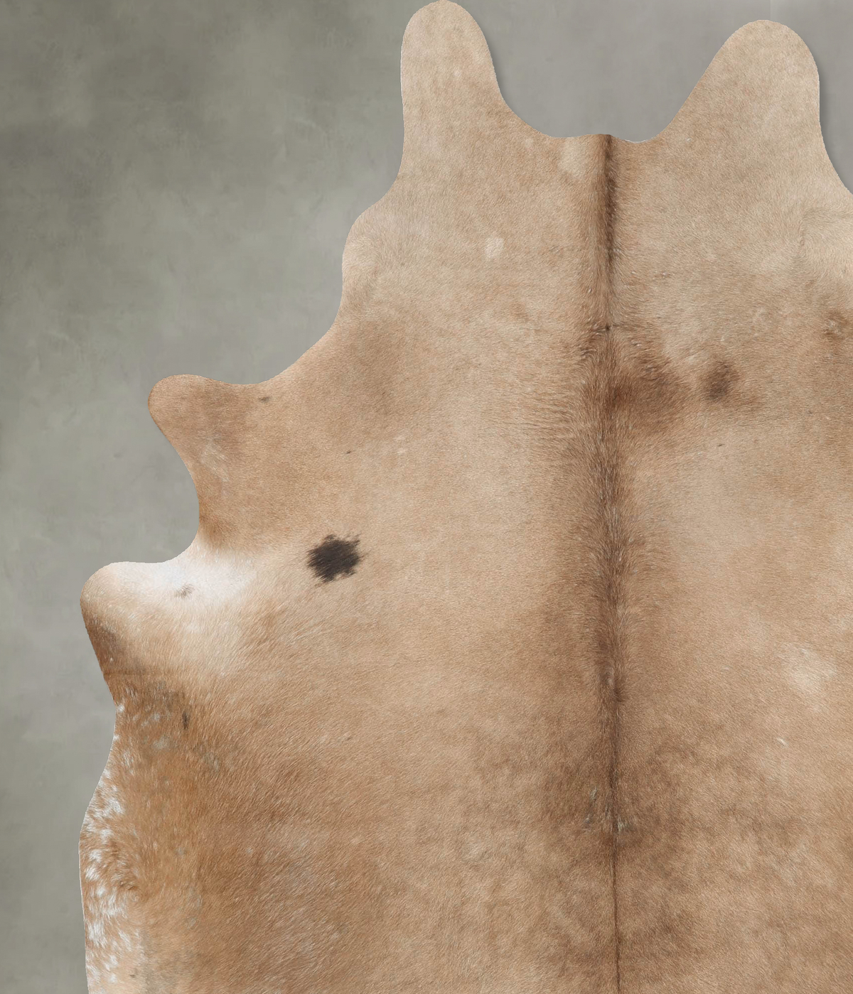 Taupe XX-Large Brazilian Cowhide Rug 8'3"H x 6'8"W #B27086 by Hudson Hides