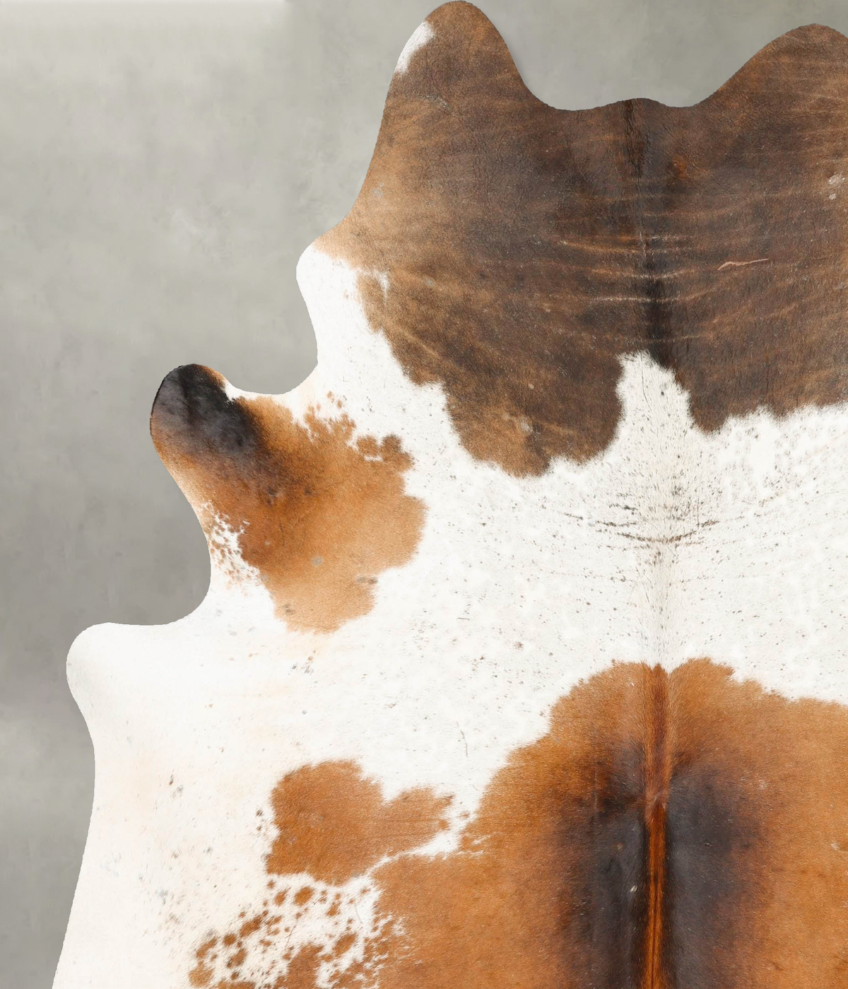 Chocolate and White XX-Large Brazilian Cowhide Rug 8'0"H x 6'6"W #B27088 by Hudson Hides
