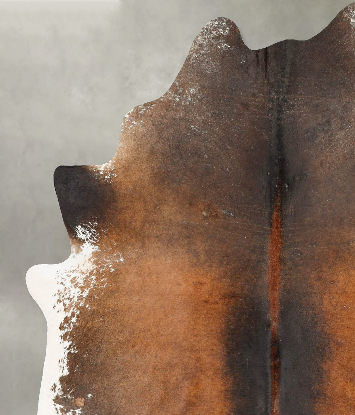 Chocolate and White XX-Large Brazilian Cowhide Rug 8'6"H x 6'3"W #B27089 by Hudson Hides