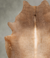 Taupe XX-Large Brazilian Cowhide Rug 8'4"H x 7'2"W #B27090 by Hudson Hides
