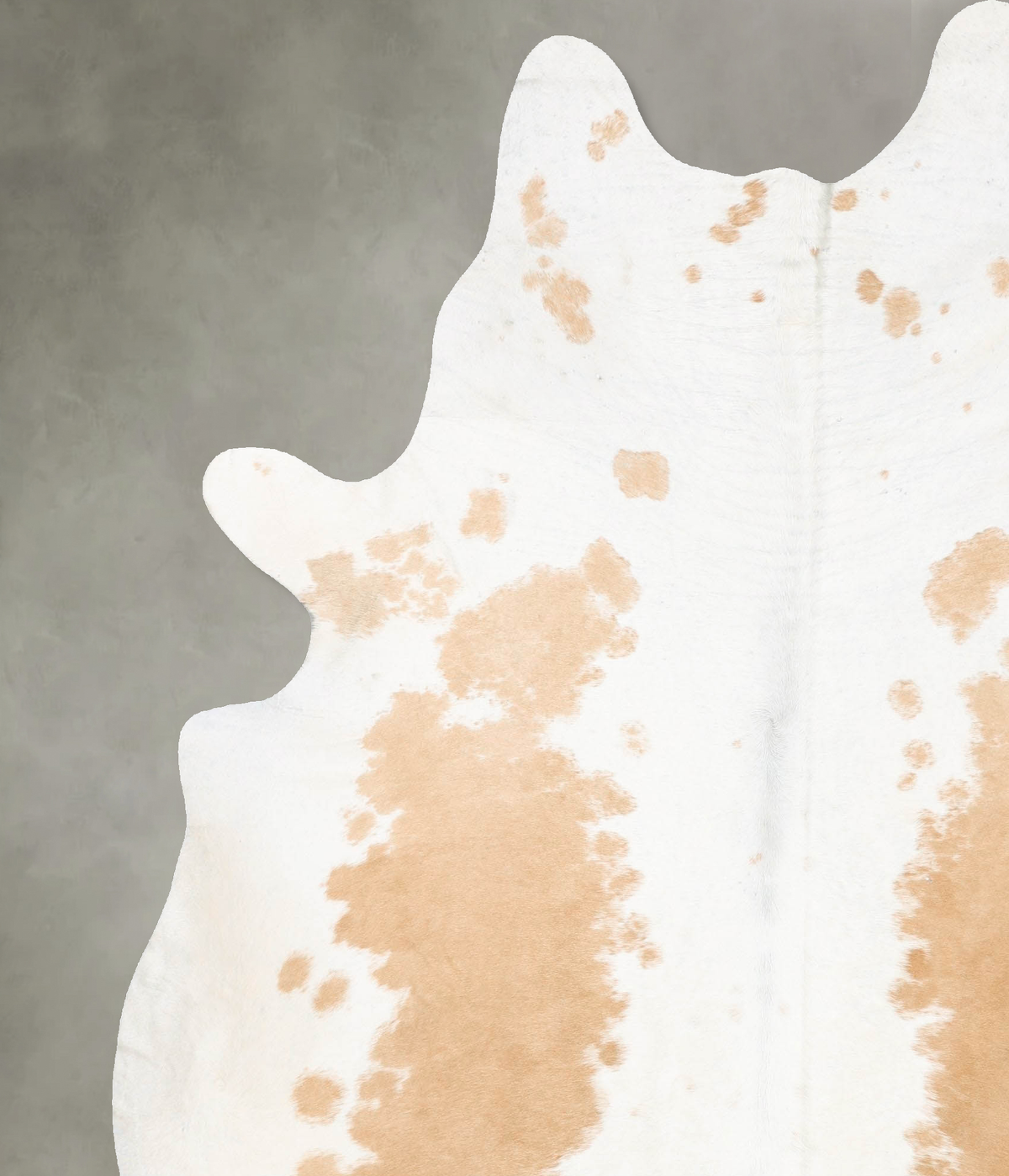 Beige and White XX-Large Brazilian Cowhide Rug 8'1"H x 6'7"W #B27092 by Hudson Hides