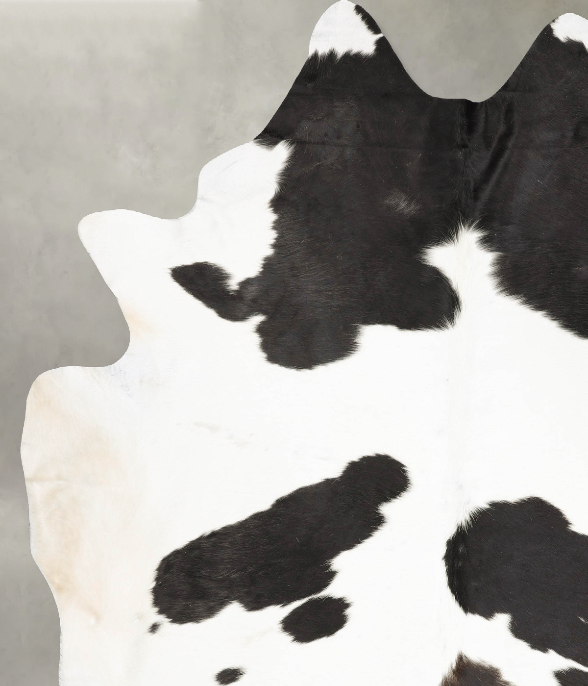 Black and White XX-Large Brazilian Cowhide Rug 9'8"H x 7'3"W #B27096 by Hudson Hides
