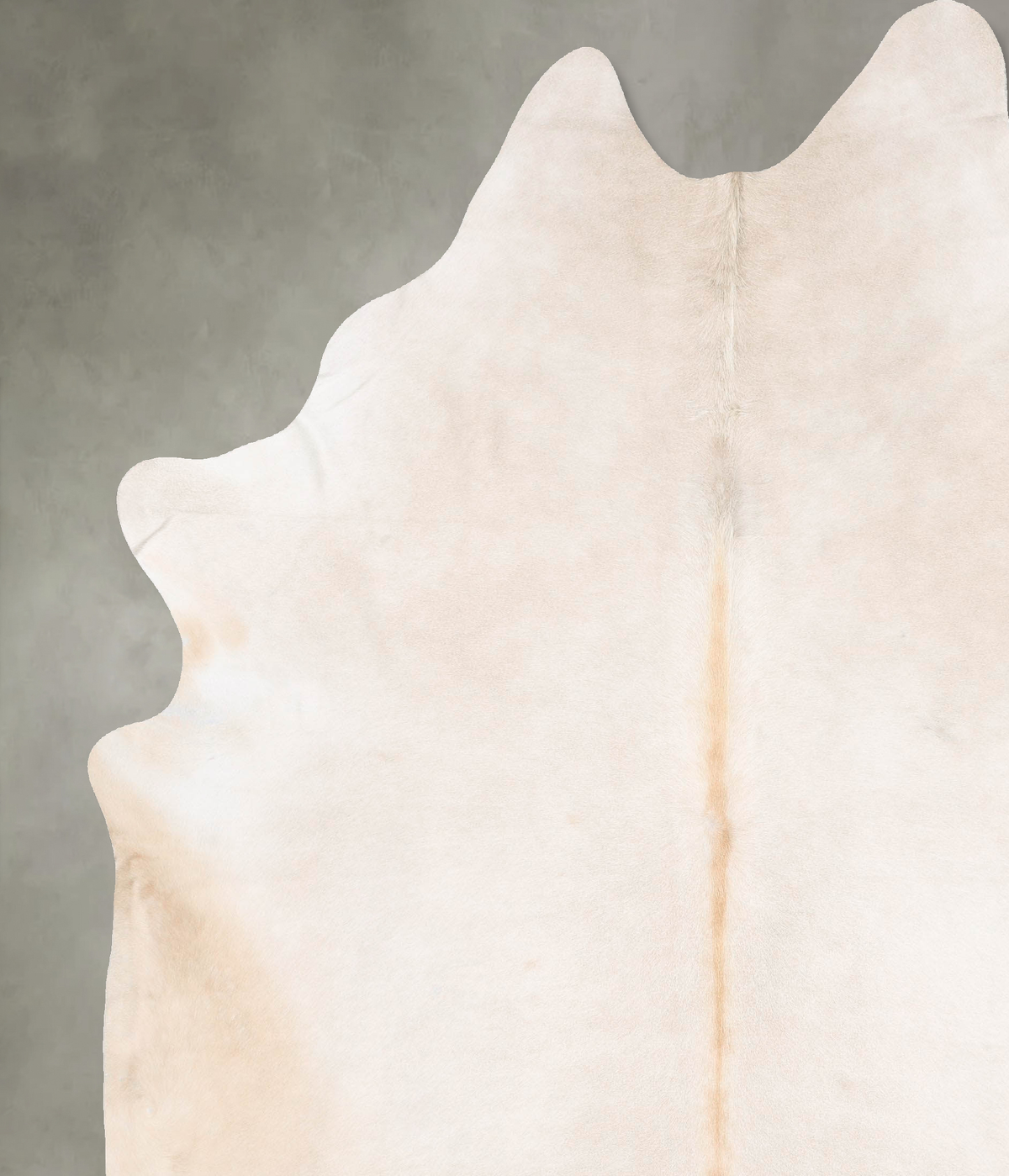 Ivory with Beige XX-Large Brazilian Cowhide Rug 9'4"H x 7'4"W #B27101 by Hudson Hides