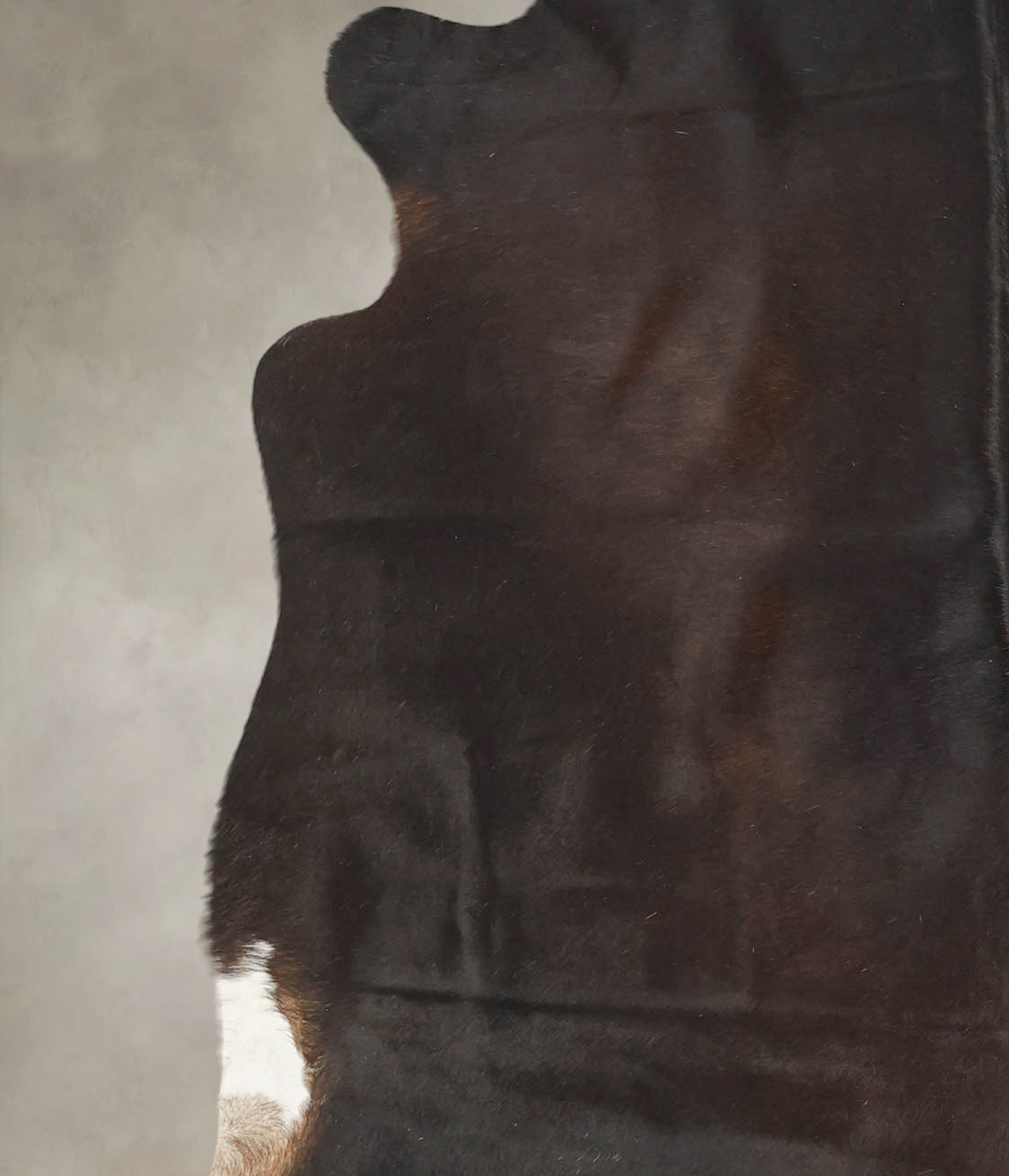 Chocolate Cowhide Rug #B2711